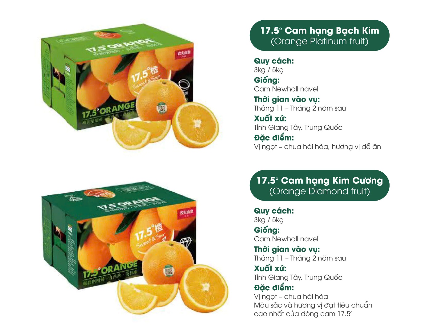 Cam 17.5° Nongfu Spring nổi tiếng tại Trung Quốc sắp về Việt Nam - Ảnh 3.