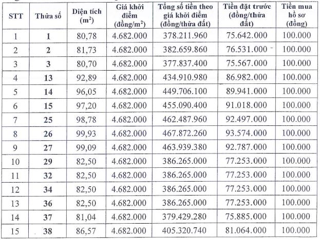 Hà Nội đấu giá loạt khu đất vào cuối tháng 12/2025- Ảnh 1.