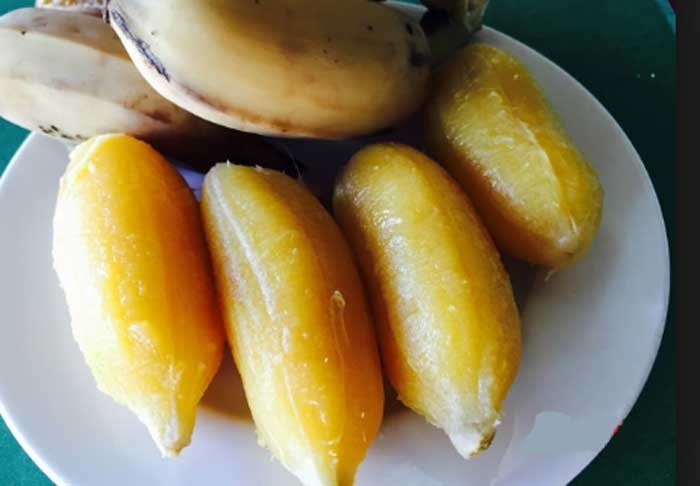 3 loại quả đem nấu chín thành "thần dược" cho nữ giới trong mùa đông: Dưỡng da, đẹp tóc, giảm mỡ, phòng đủ thứ bệnh- Ảnh 1. 3 loại quả đem nấu chín thành "thần dược" cho nữ giới trong mùa đông: Dưỡng da, đẹp tóc, giảm mỡ, phòng đủ thứ bệnh- Ảnh 1.