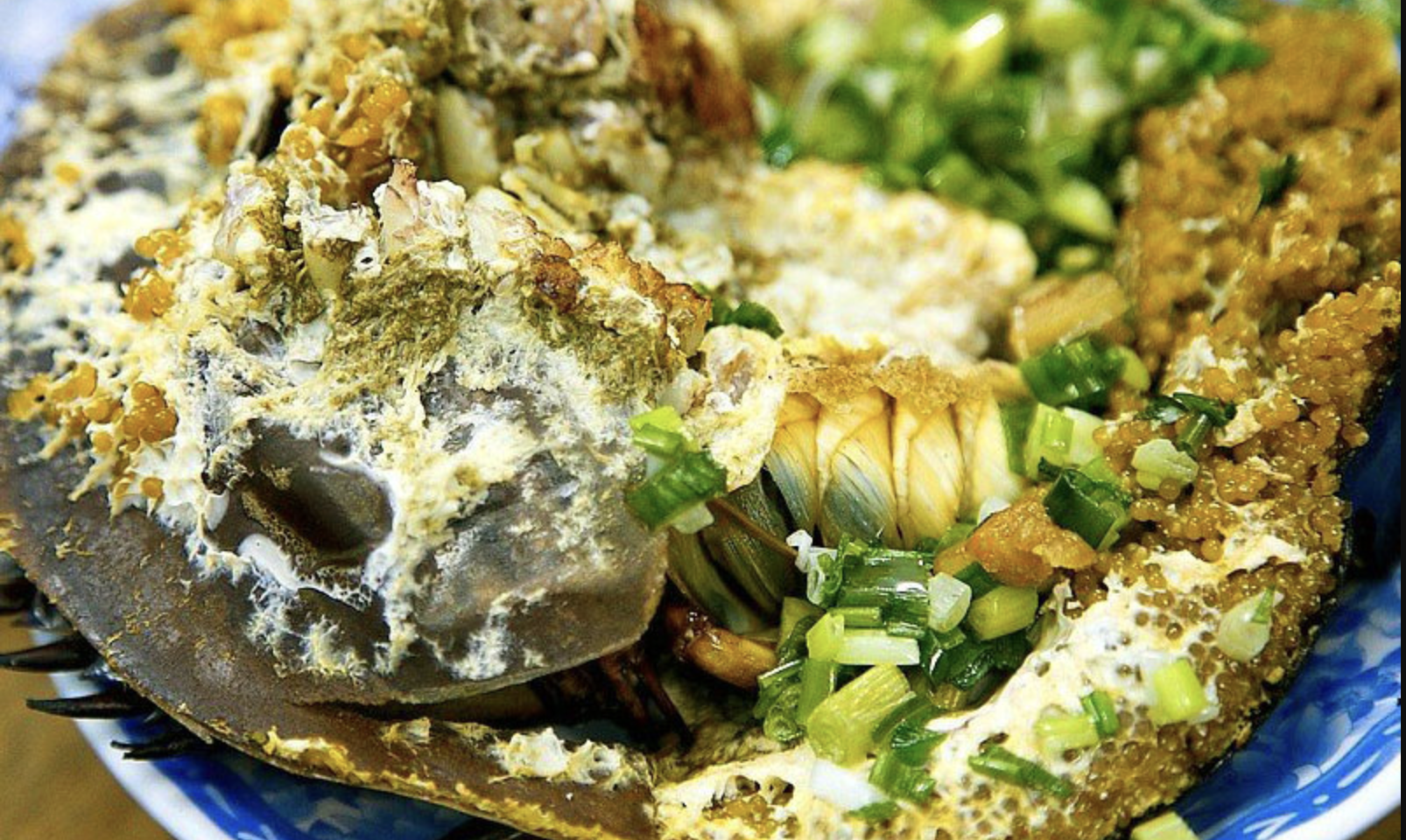 Món hải sản Quảng Ninh "ăn nhầm là kịch độc", nhưng vẫn khiến dân sành ăn mê mẩn - Ảnh 4.