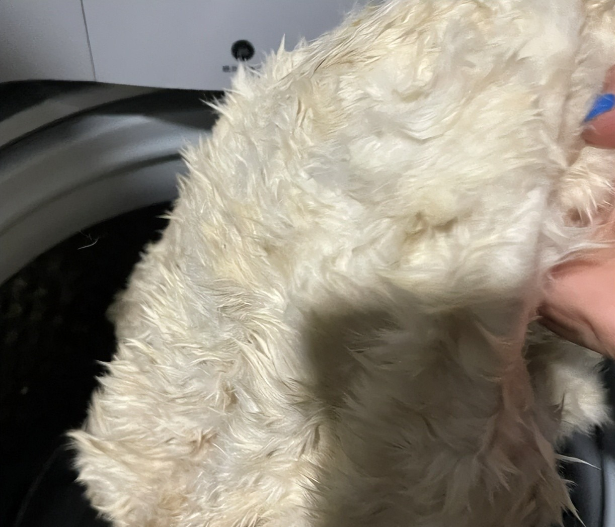 Dùng máy giặt đến năm thứ 10, tôi mới nhận ra 6 sai lầm tai hại- Ảnh 6. Dùng máy giặt đến năm thứ 10, tôi mới nhận ra 6 sai lầm tai hại- Ảnh 6.