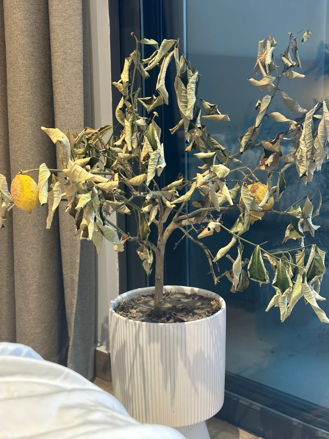 Nhà không yên, người không thuận: 3 "vật cản" nếu không dọn đi, may mắn khó lòng chạm ngõ - Ảnh 2. Nhà không yên, người không thuận: 3 "vật cản" nếu không dọn đi, may mắn khó lòng chạm ngõ - Ảnh 2.