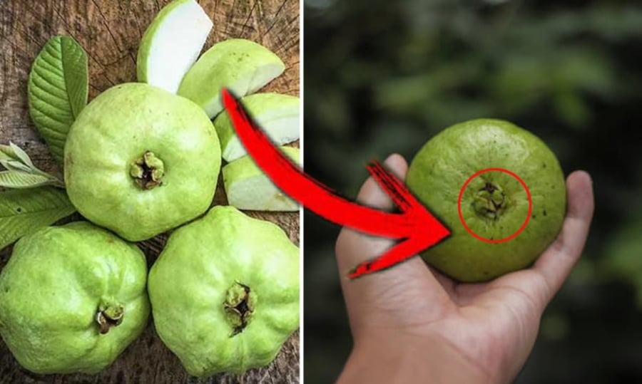 Quả quen mặt ở chợ Việt lọt top "chống oxy hóa tốt nhất thế giới", không mua phí của trời - Ảnh 3. Quả quen mặt ở chợ Việt lọt top "chống oxy hóa tốt nhất thế giới", không mua phí của trời - Ảnh 3.