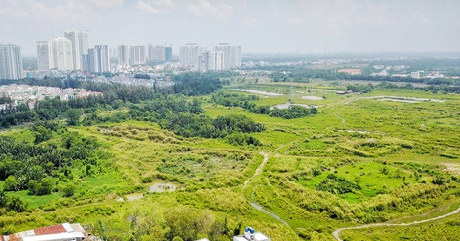 Thông tin mới nhất về Quốc Cường Gia Lai và Novaland - Ảnh 1.