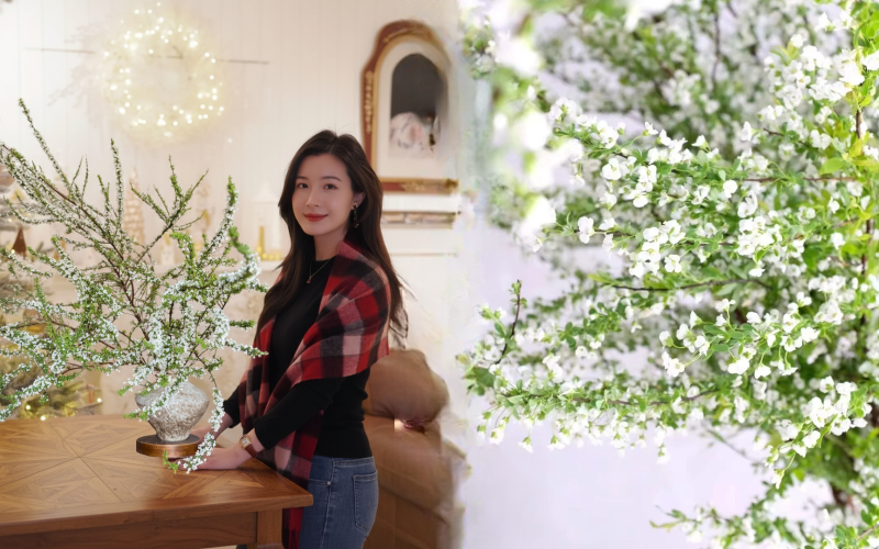 Thú chơi hoa "củi khô nở ra tuyết trắng": Giá bình dân nhưng khí chất sang chảnh, cắm một bình chơi cả tháng Giêng - Ảnh 1.