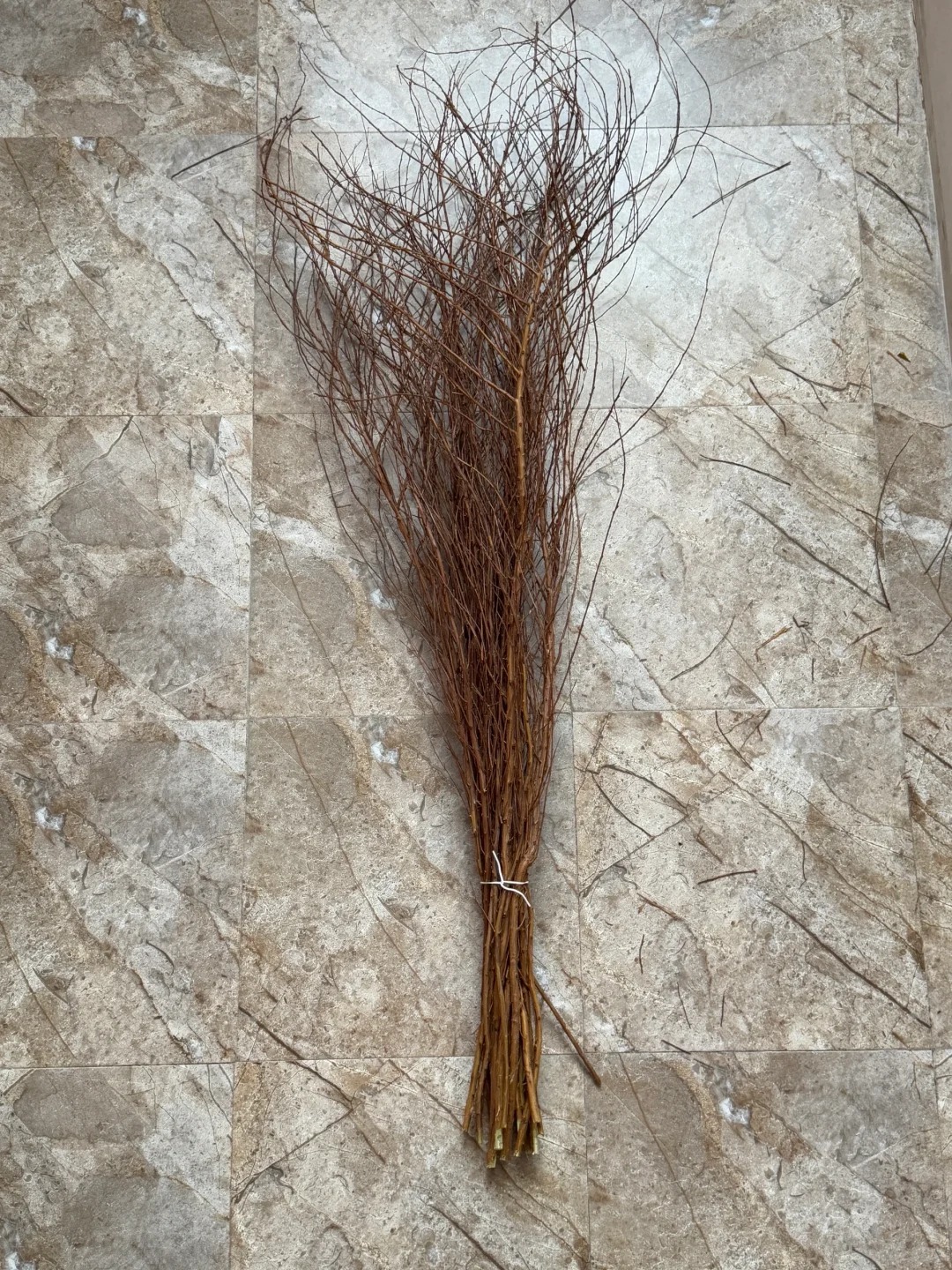 Thú chơi hoa "củi khô nở ra tuyết trắng": Giá bình dân nhưng khí chất sang chảnh, cắm một bình chơi cả tháng Giêng - Ảnh 27.