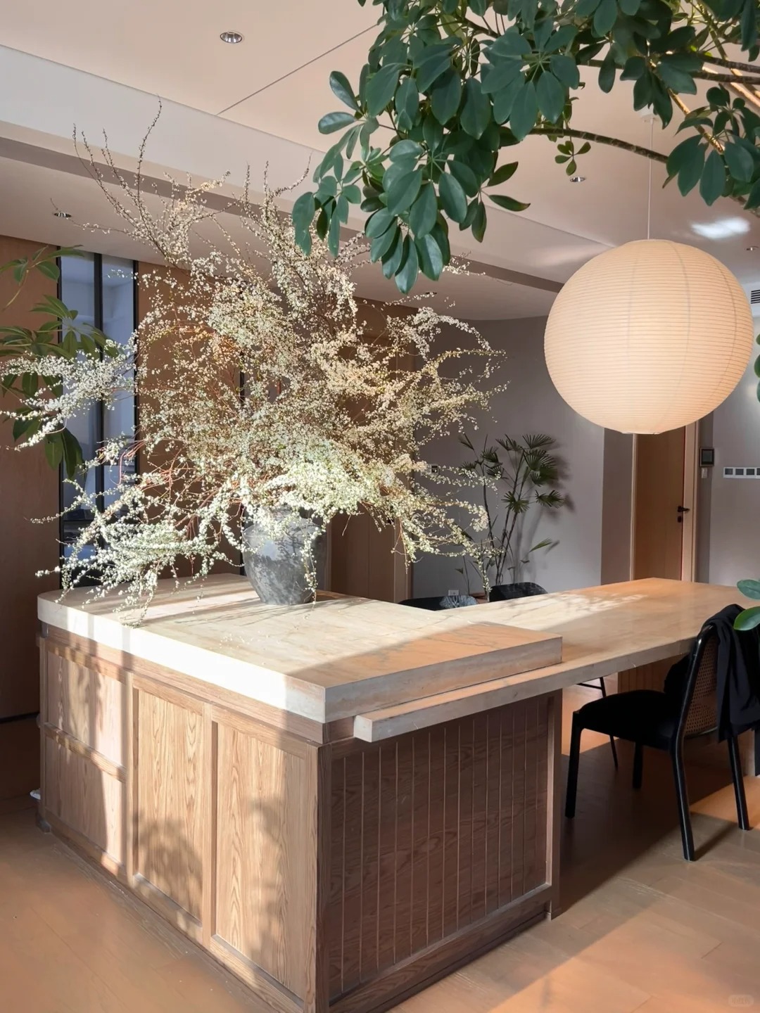 Thú chơi hoa "củi khô nở ra tuyết trắng": Giá bình dân nhưng khí chất sang chảnh, cắm một bình chơi cả tháng Giêng - Ảnh 12.