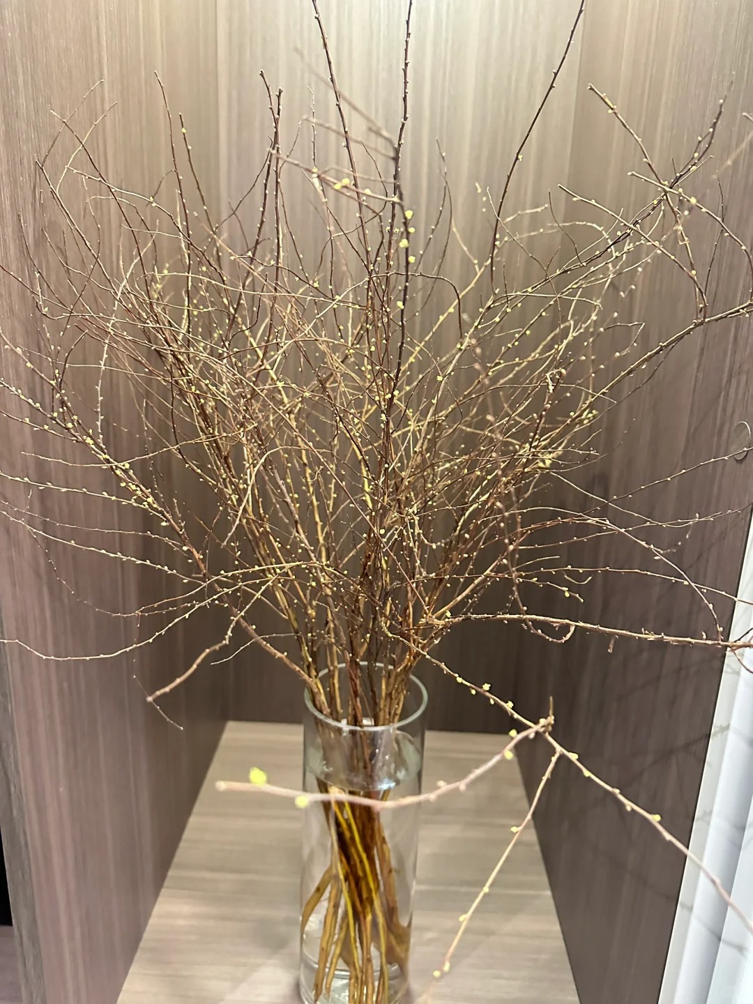 Thú chơi hoa "củi khô nở ra tuyết trắng": Giá bình dân nhưng khí chất sang chảnh, cắm một bình chơi cả tháng Giêng - Ảnh 30.