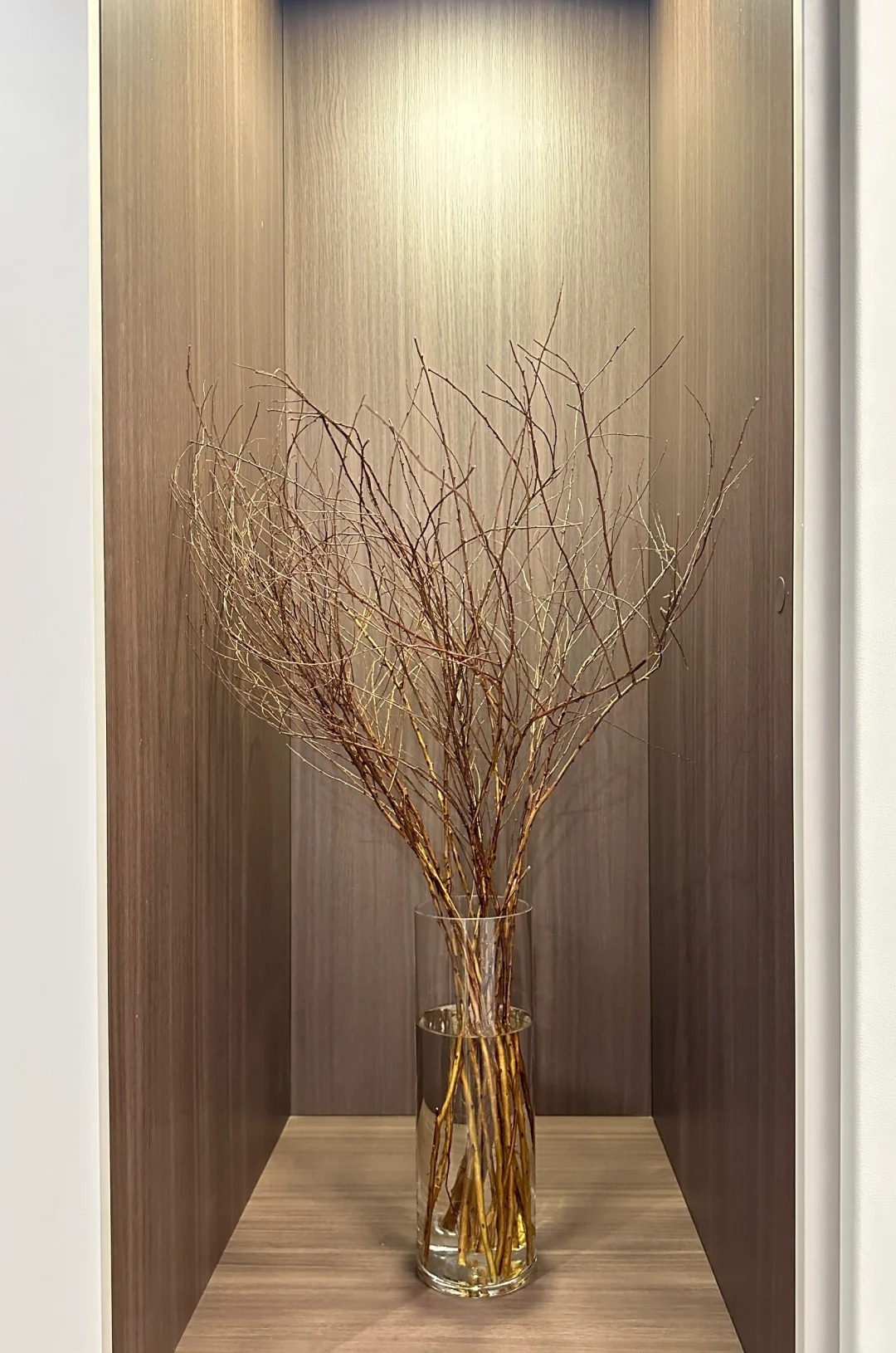 Thú chơi hoa "củi khô nở ra tuyết trắng": Giá bình dân nhưng khí chất sang chảnh, cắm một bình chơi cả tháng Giêng - Ảnh 31.