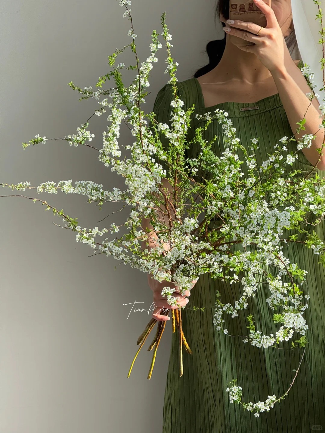 Thú chơi hoa "củi khô nở ra tuyết trắng": Giá bình dân nhưng khí chất sang chảnh, cắm một bình chơi cả tháng Giêng - Ảnh 6.