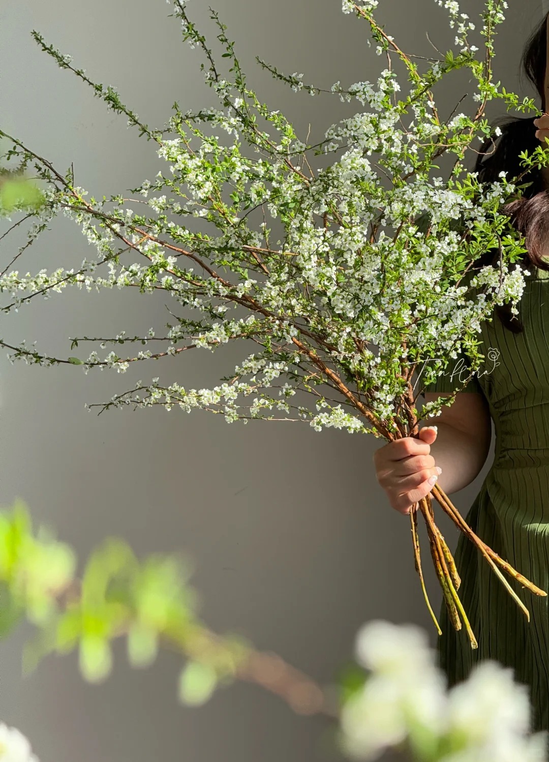 Thú chơi hoa "củi khô nở ra tuyết trắng": Giá bình dân nhưng khí chất sang chảnh, cắm một bình chơi cả tháng Giêng - Ảnh 7.