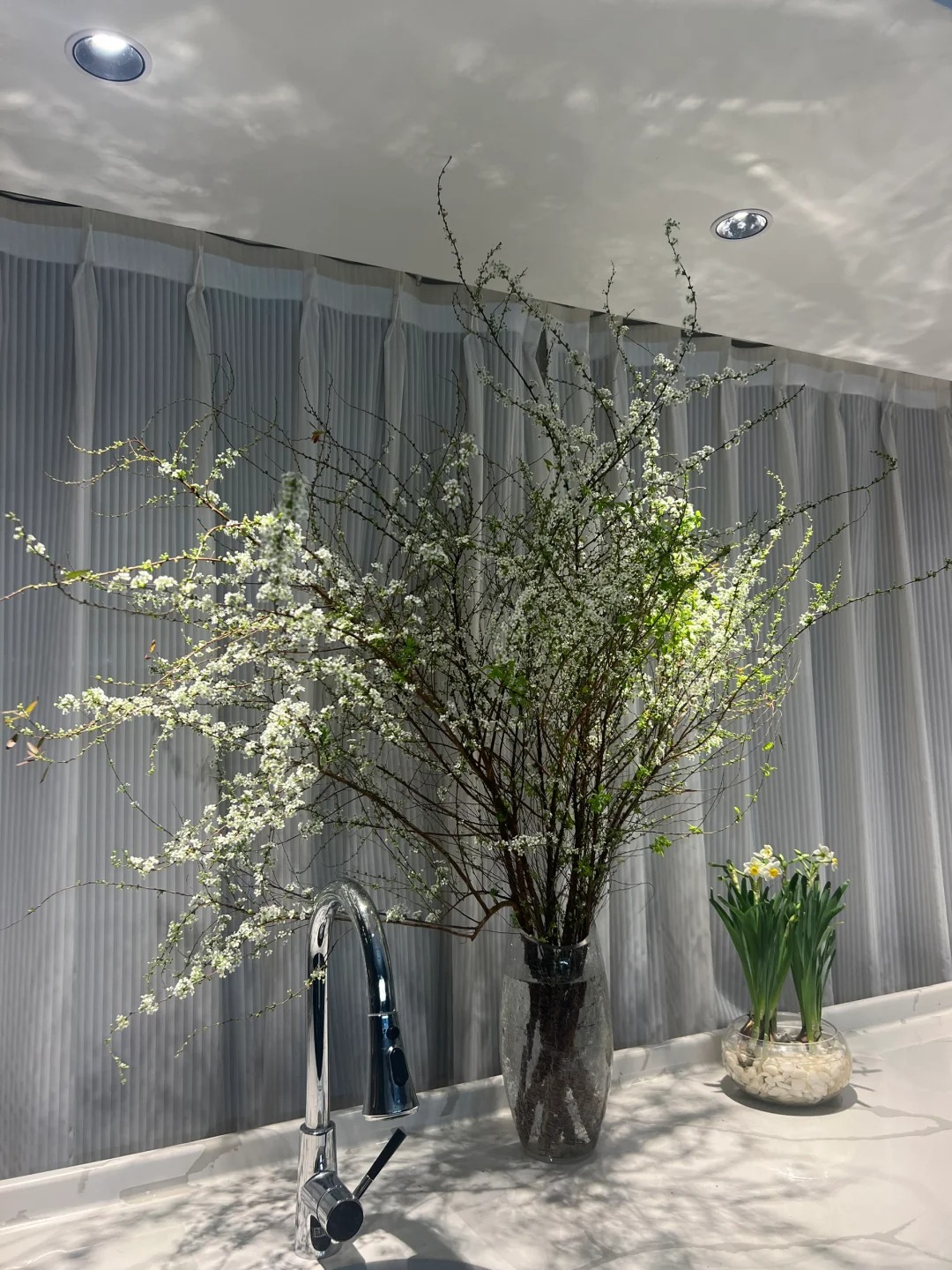 Thú chơi hoa "củi khô nở ra tuyết trắng": Giá bình dân nhưng khí chất sang chảnh, cắm một bình chơi cả tháng Giêng - Ảnh 14.