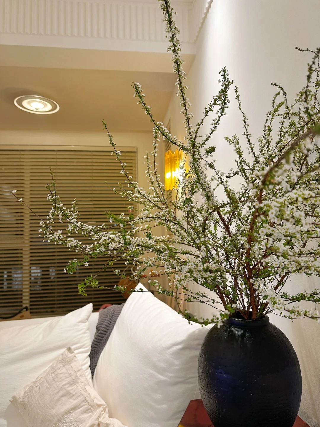 Thú chơi hoa "củi khô nở ra tuyết trắng": Giá bình dân nhưng khí chất sang chảnh, cắm một bình chơi cả tháng Giêng - Ảnh 15.