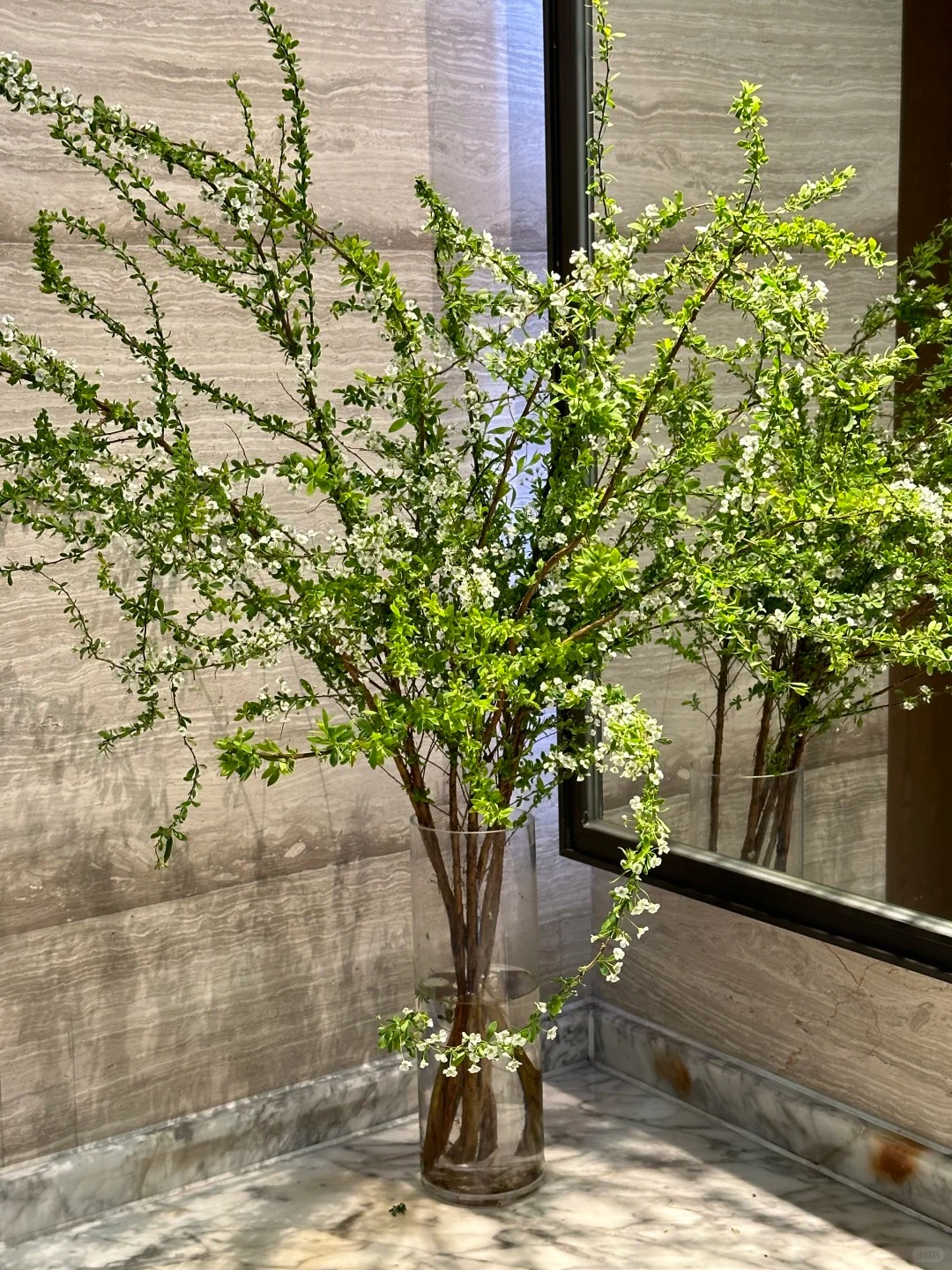 Thú chơi hoa "củi khô nở ra tuyết trắng": Giá bình dân nhưng khí chất sang chảnh, cắm một bình chơi cả tháng Giêng - Ảnh 17.