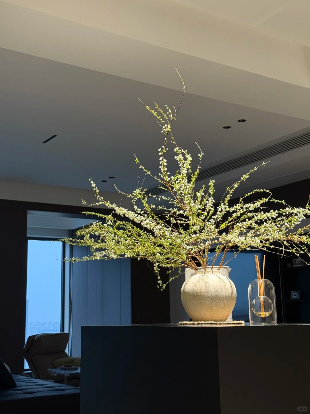 Thú chơi hoa "củi khô nở ra tuyết trắng": Giá bình dân nhưng khí chất sang chảnh, cắm một bình chơi cả tháng Giêng - Ảnh 18.