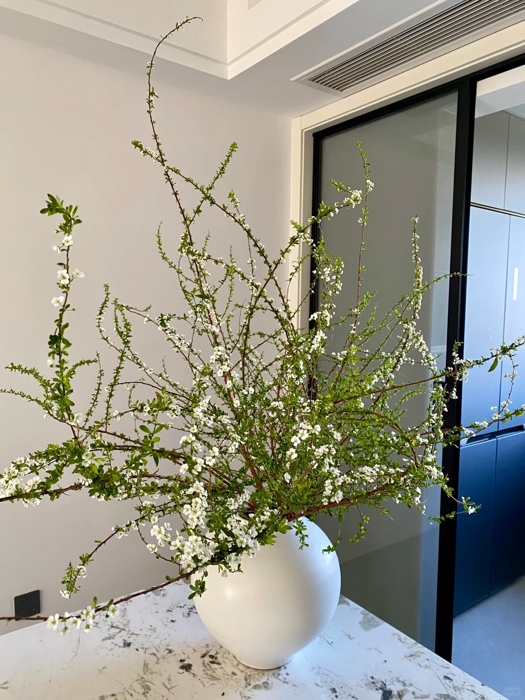 Thú chơi hoa "củi khô nở ra tuyết trắng": Giá bình dân nhưng khí chất sang chảnh, cắm một bình chơi cả tháng Giêng - Ảnh 19.