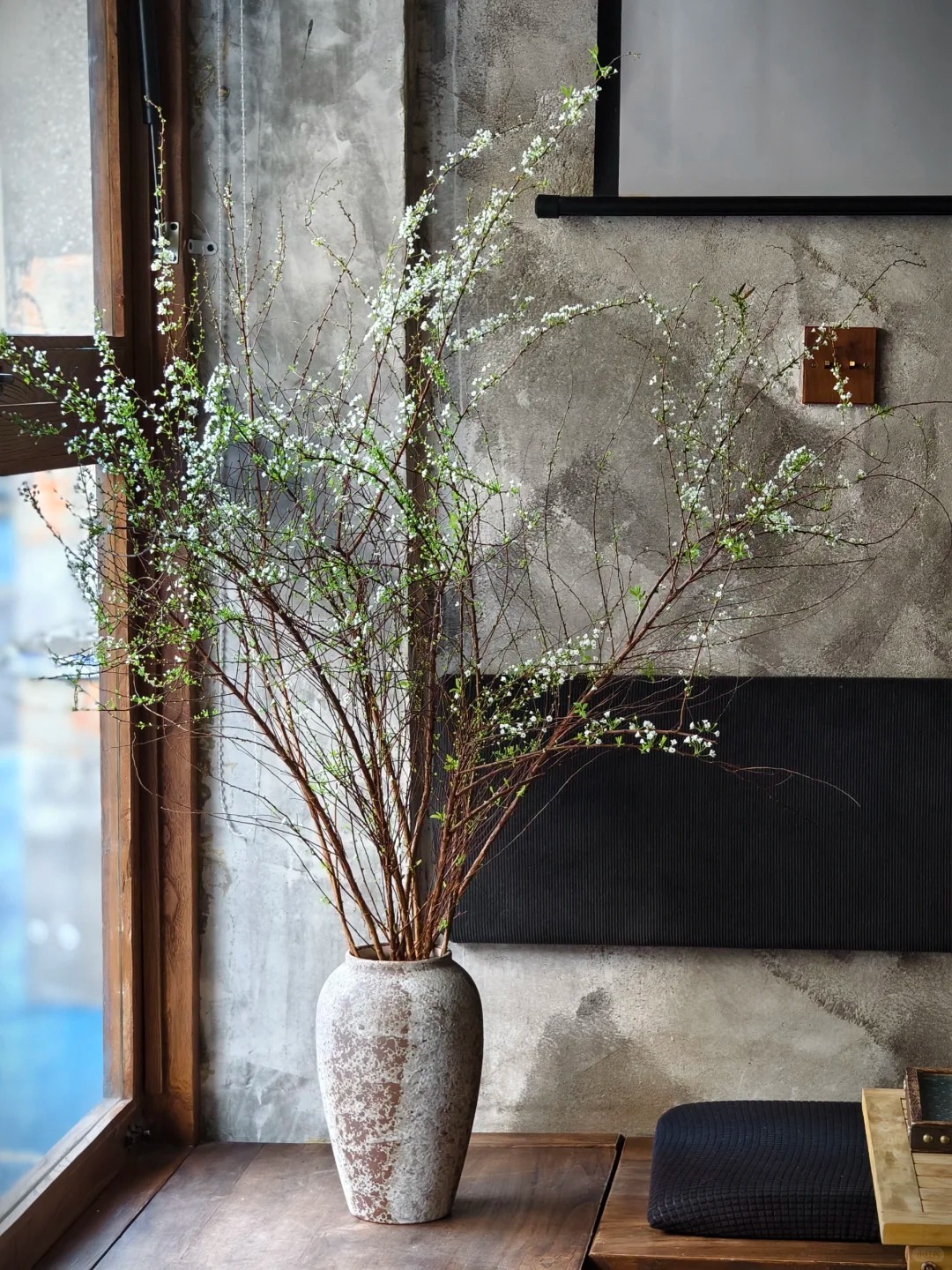 Thú chơi hoa "củi khô nở ra tuyết trắng": Giá bình dân nhưng khí chất sang chảnh, cắm một bình chơi cả tháng Giêng - Ảnh 22.