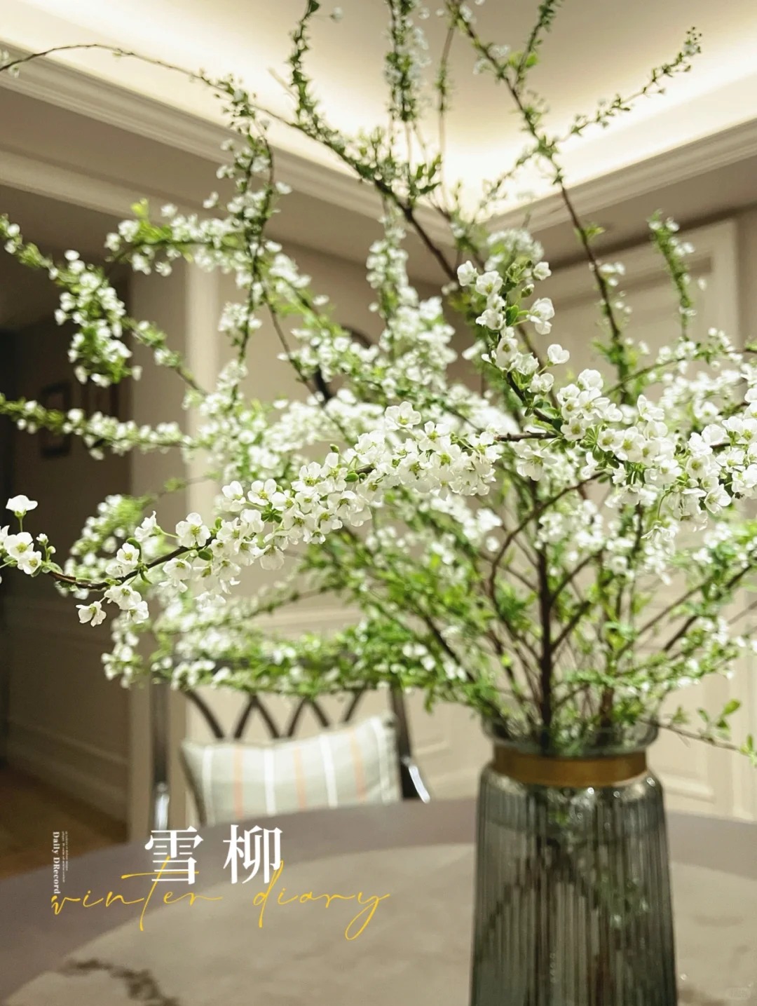 Thú chơi hoa "củi khô nở ra tuyết trắng": Giá bình dân nhưng khí chất sang chảnh, cắm một bình chơi cả tháng Giêng - Ảnh 24.