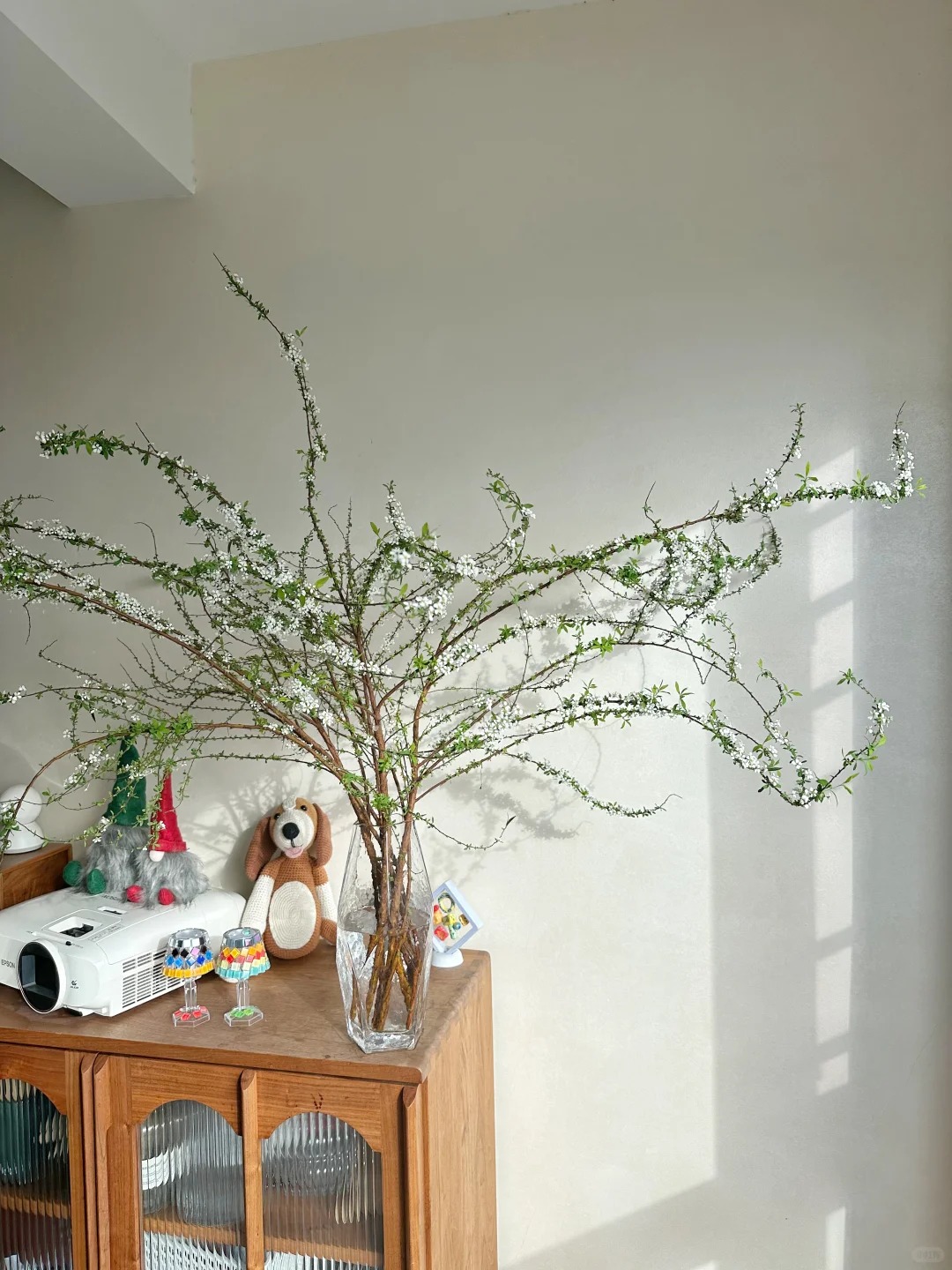 Thú chơi hoa "củi khô nở ra tuyết trắng": Giá bình dân nhưng khí chất sang chảnh, cắm một bình chơi cả tháng Giêng - Ảnh 33.