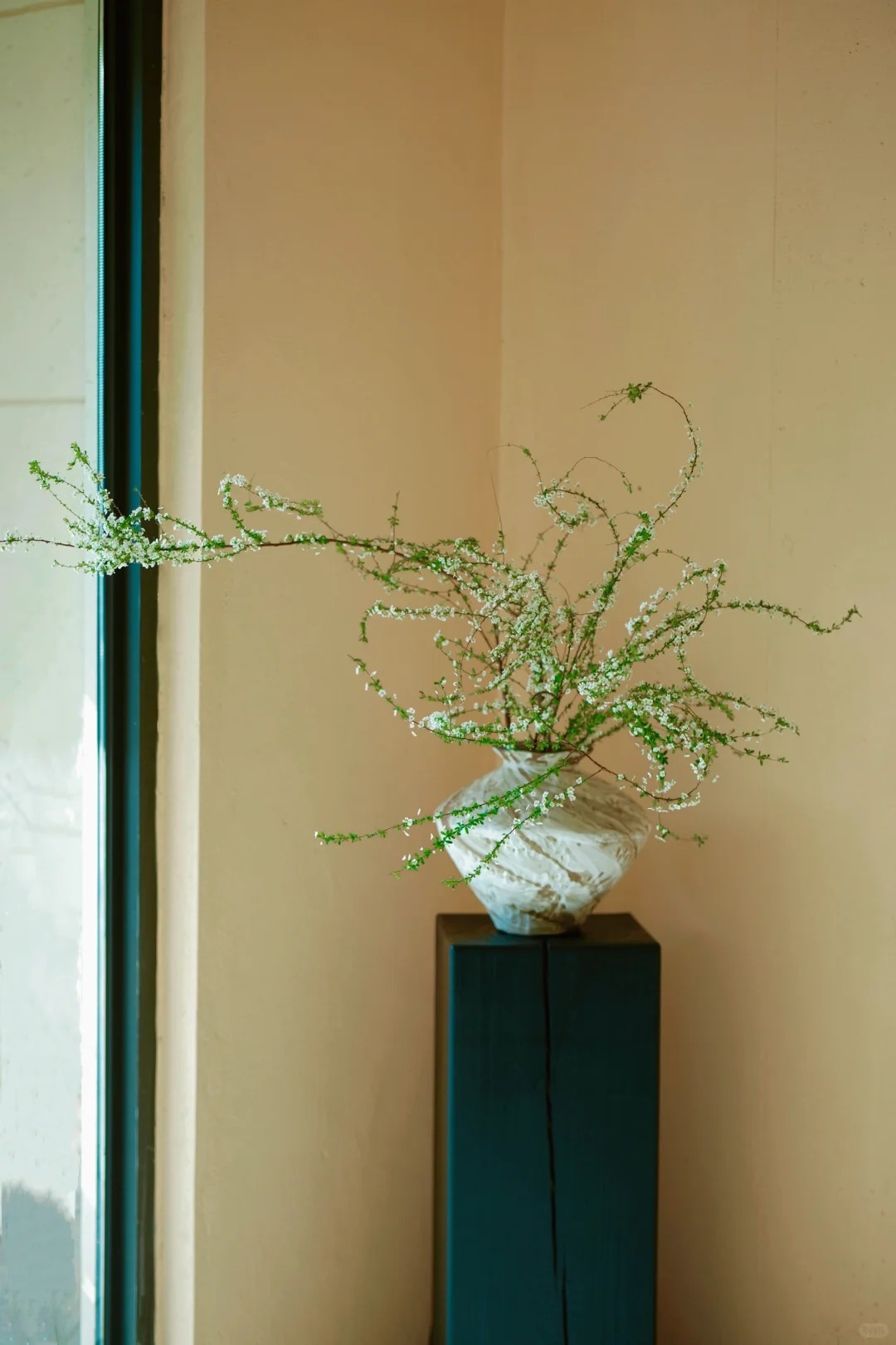 Thú chơi hoa "củi khô nở ra tuyết trắng": Giá bình dân nhưng khí chất sang chảnh, cắm một bình chơi cả tháng Giêng - Ảnh 8.