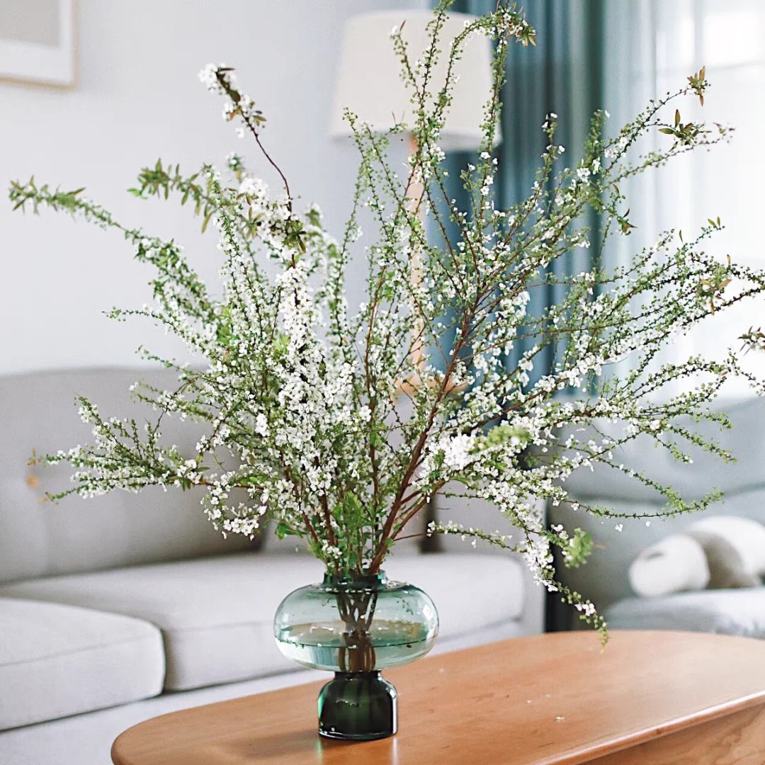 Thú chơi hoa "củi khô nở ra tuyết trắng": Giá bình dân nhưng khí chất sang chảnh, cắm một bình chơi cả tháng Giêng - Ảnh 5.