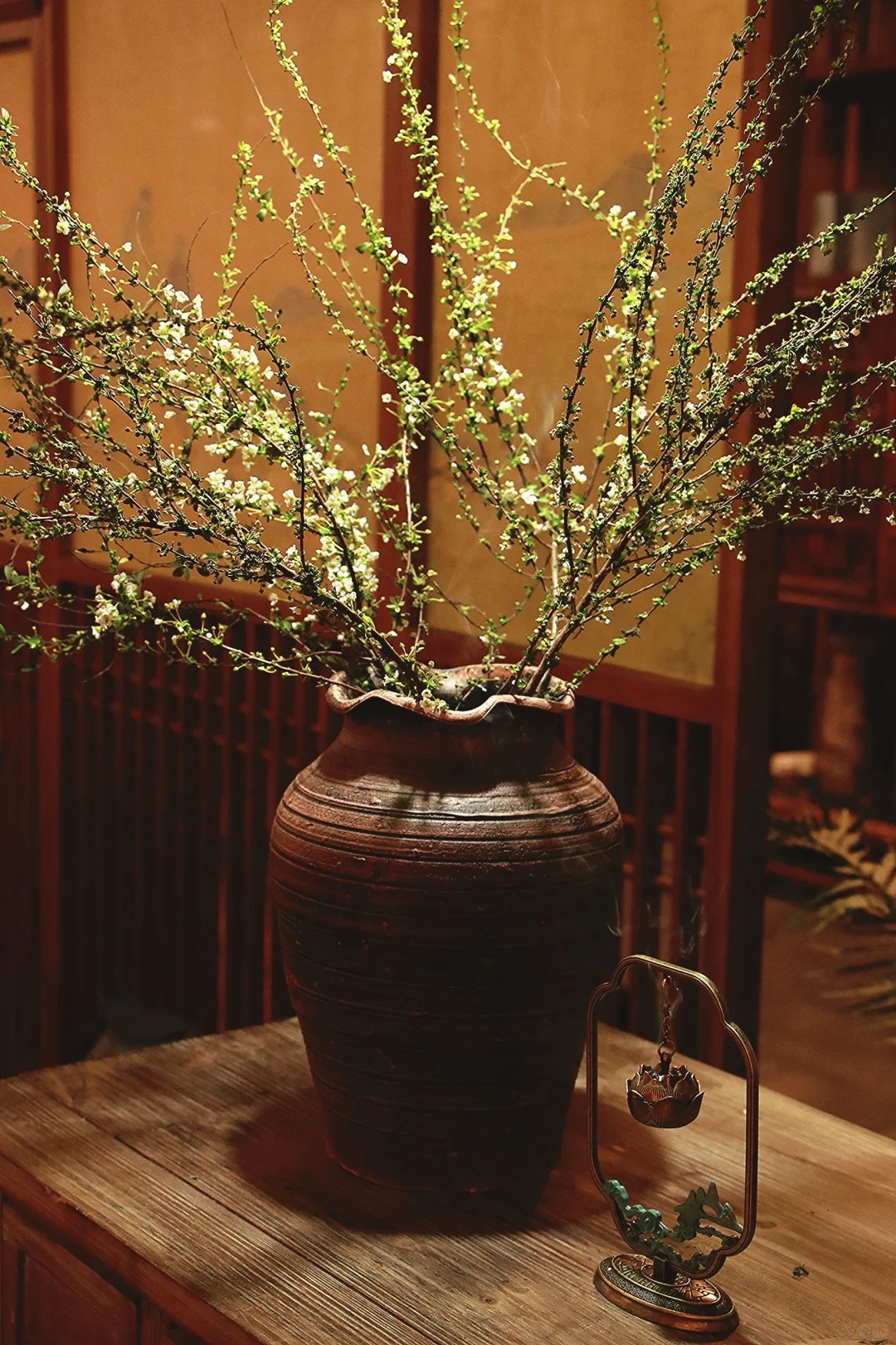 Thú chơi hoa "củi khô nở ra tuyết trắng": Giá bình dân nhưng khí chất sang chảnh, cắm một bình chơi cả tháng Giêng - Ảnh 9.