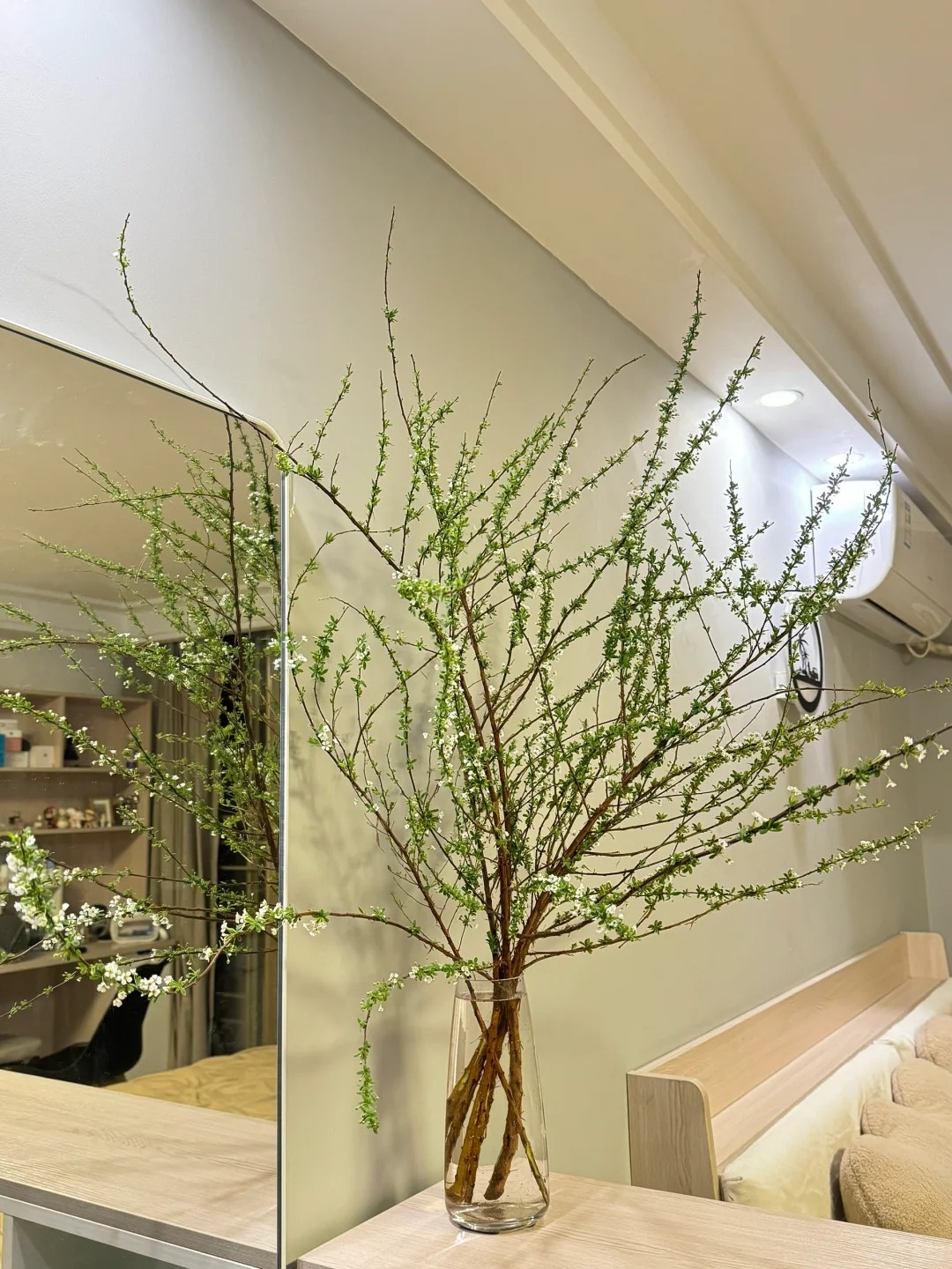 Thú chơi hoa "củi khô nở ra tuyết trắng": Giá bình dân nhưng khí chất sang chảnh, cắm một bình chơi cả tháng Giêng - Ảnh 10.