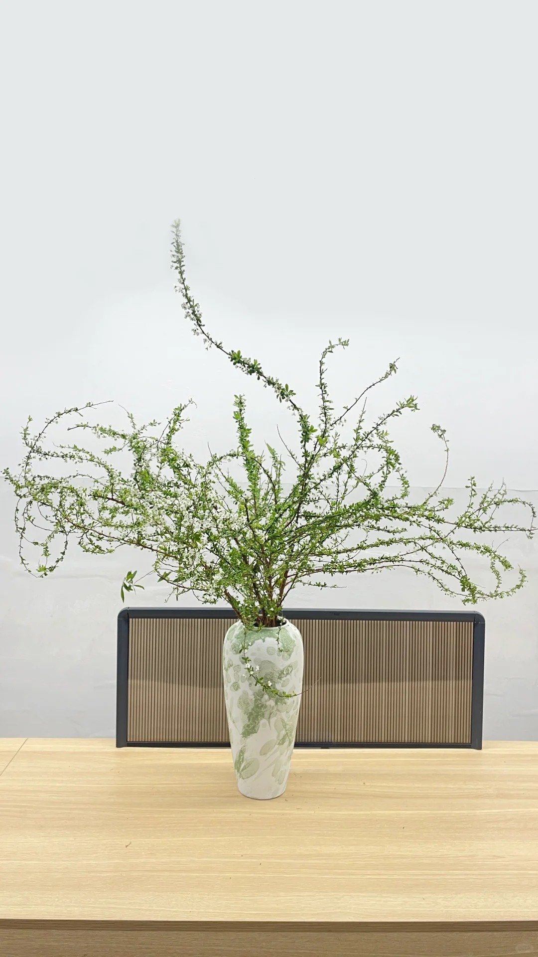 Thú chơi hoa "củi khô nở ra tuyết trắng": Giá bình dân nhưng khí chất sang chảnh, cắm một bình chơi cả tháng Giêng - Ảnh 11.