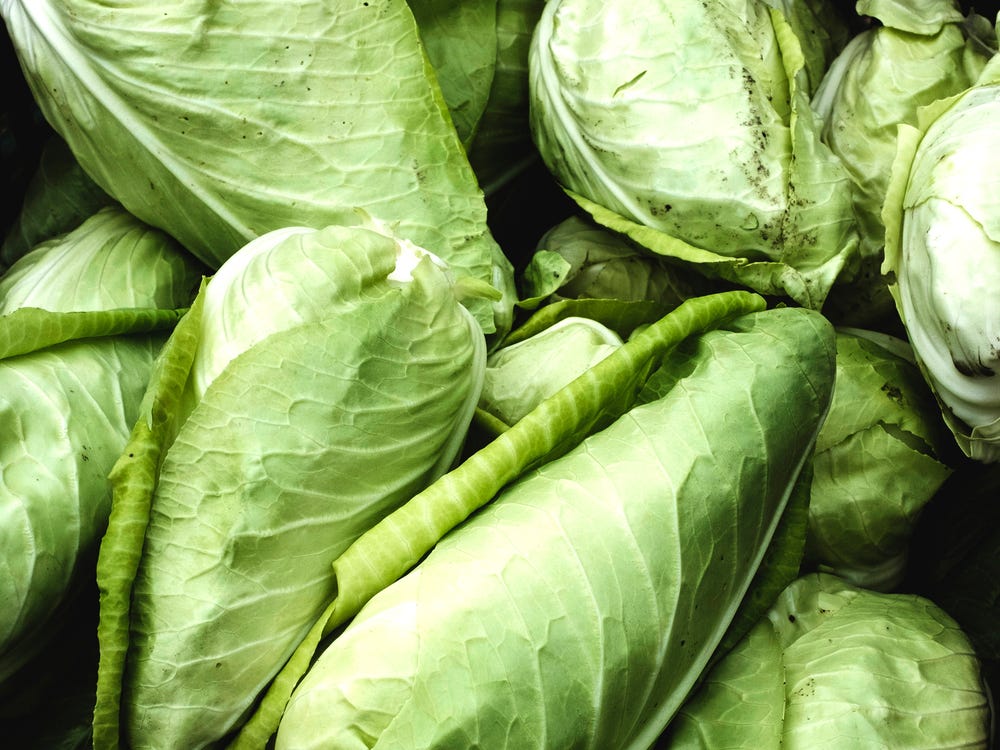 Năm 2026 sẽ là năm của bắp cải: Từ mâm cơm quê đến bàn ăn hiện đại - vì sao bắp cải đang được yêu thích trở lại?- Ảnh 1.