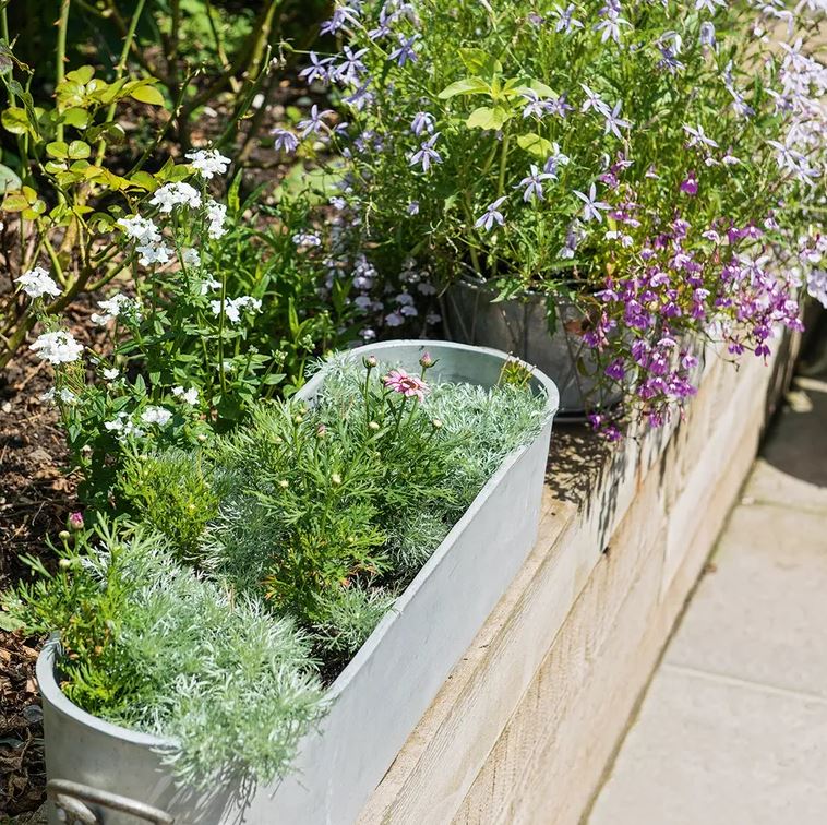 Trồng cây ban công kỵ nhất 5 sai lầm này: Tiếc là nhiều gia chủ chẳng mấy quan tâm- Ảnh 1.