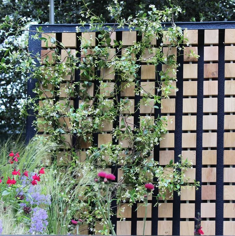 Trồng cây ban công kỵ nhất 5 sai lầm này: Tiếc là nhiều gia chủ chẳng mấy quan tâm- Ảnh 2.