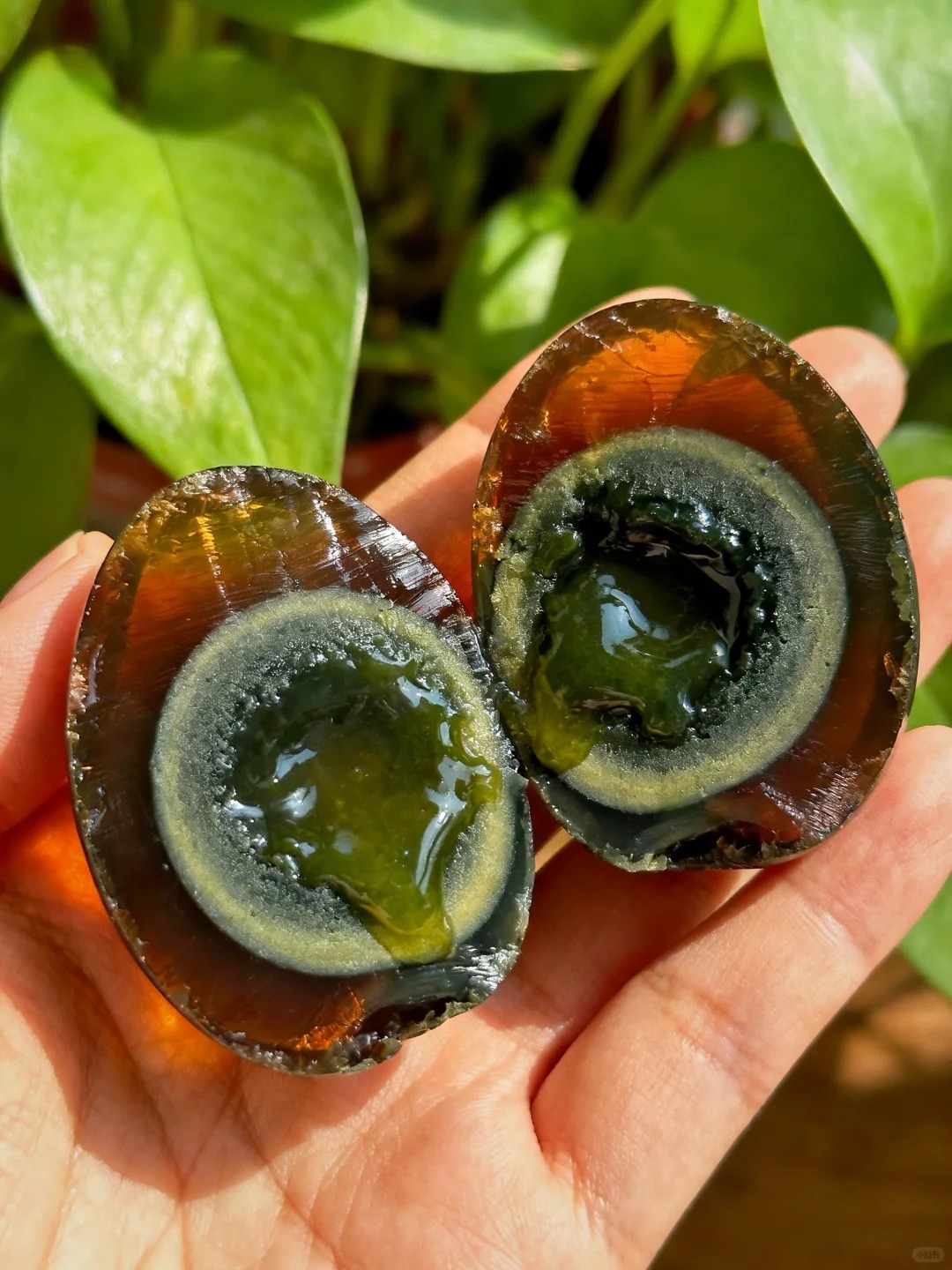 Giải mã thứ "kinh dị" lại hóa thành viên ngọc hổ phách trên bàn tiệc ngày Tết- Ảnh 20.