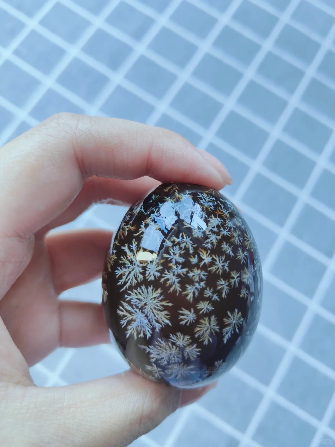 Giải mã thứ "kinh dị" lại hóa thành viên ngọc hổ phách trên bàn tiệc ngày Tết- Ảnh 15.