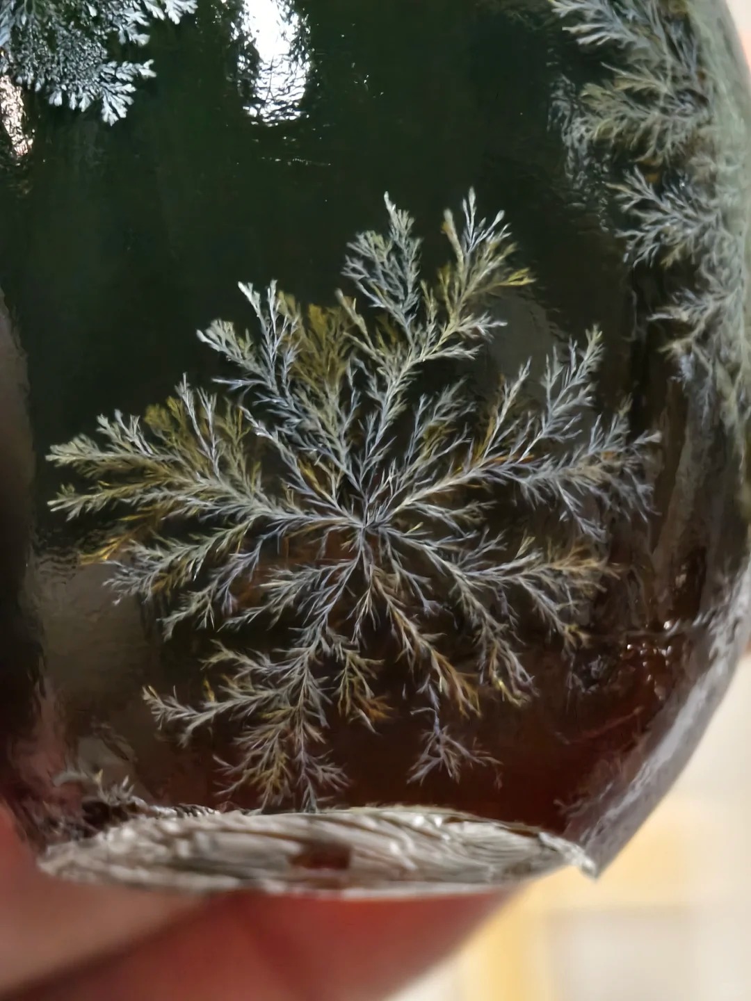 Giải mã thứ "kinh dị" lại hóa thành viên ngọc hổ phách trên bàn tiệc ngày Tết- Ảnh 17.