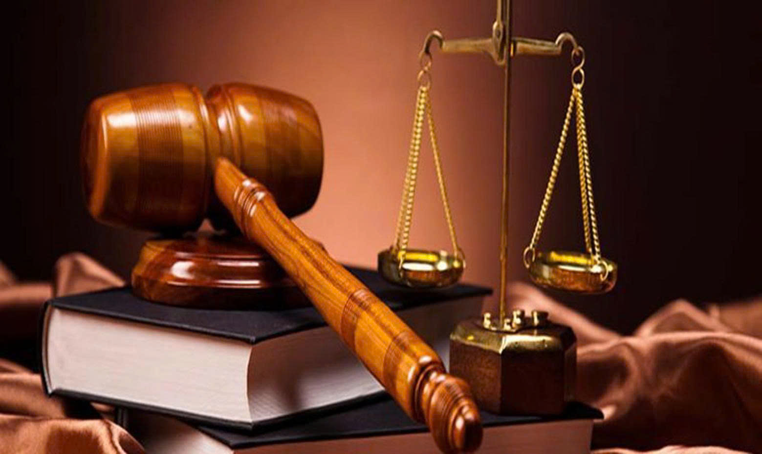 Cơ khí Điện lực (PEC) bị xử phạt do vi phạm công bố thông tin - Ảnh 1.