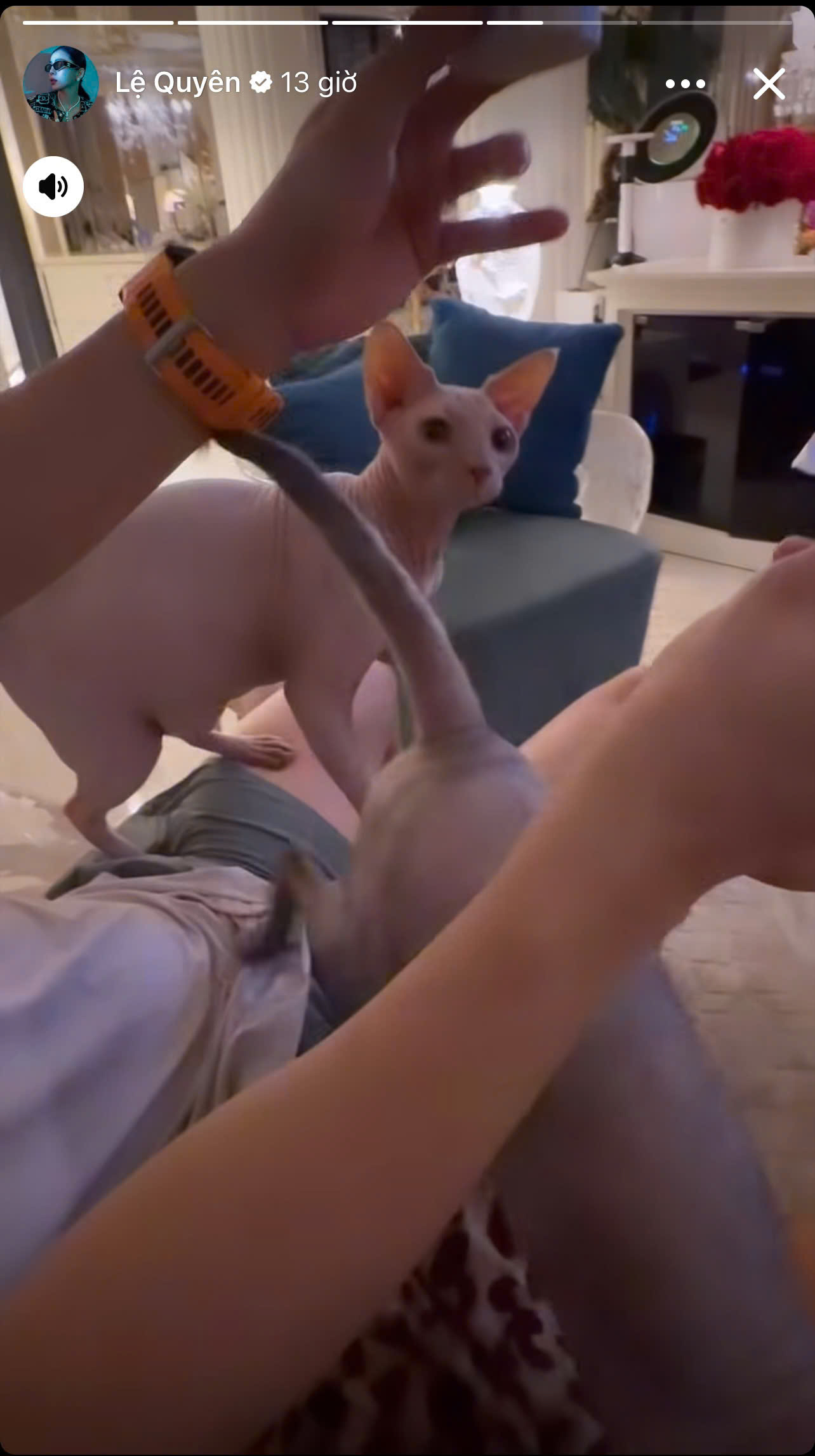 Loá mắt khung cảnh bên trong biệt thự đắt đỏ, 3,6 tỷ chỉ xây được cái cổng của Lệ Quyên- Ảnh 1.