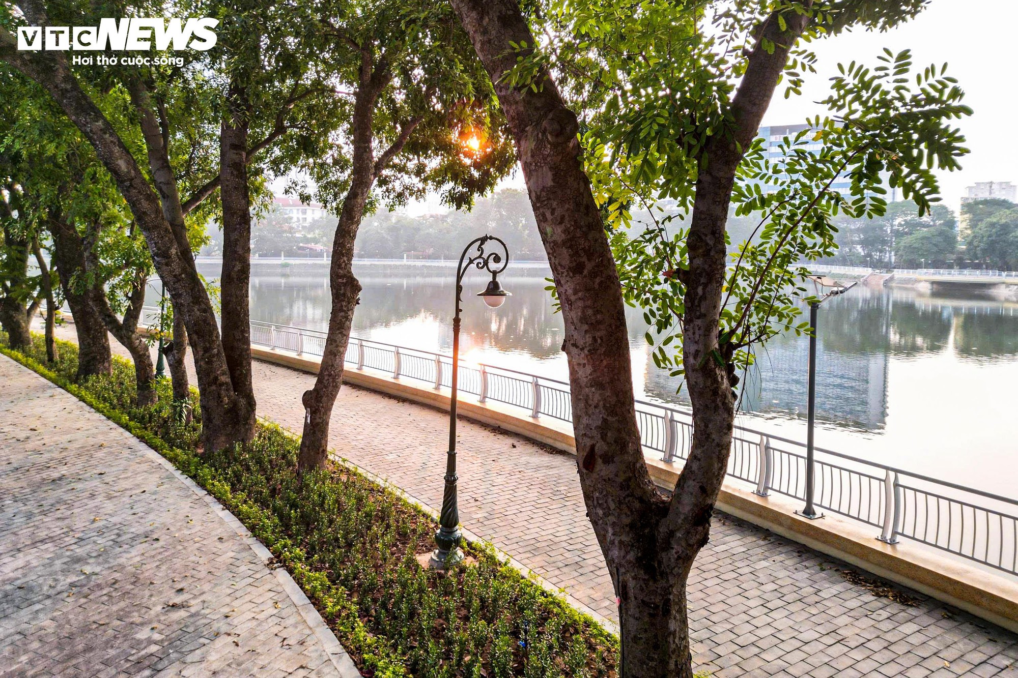 Chiêm ngưỡng cầu đi bộ hình cây đàn trong công viên trung tâm Hà Nội- Ảnh 10.