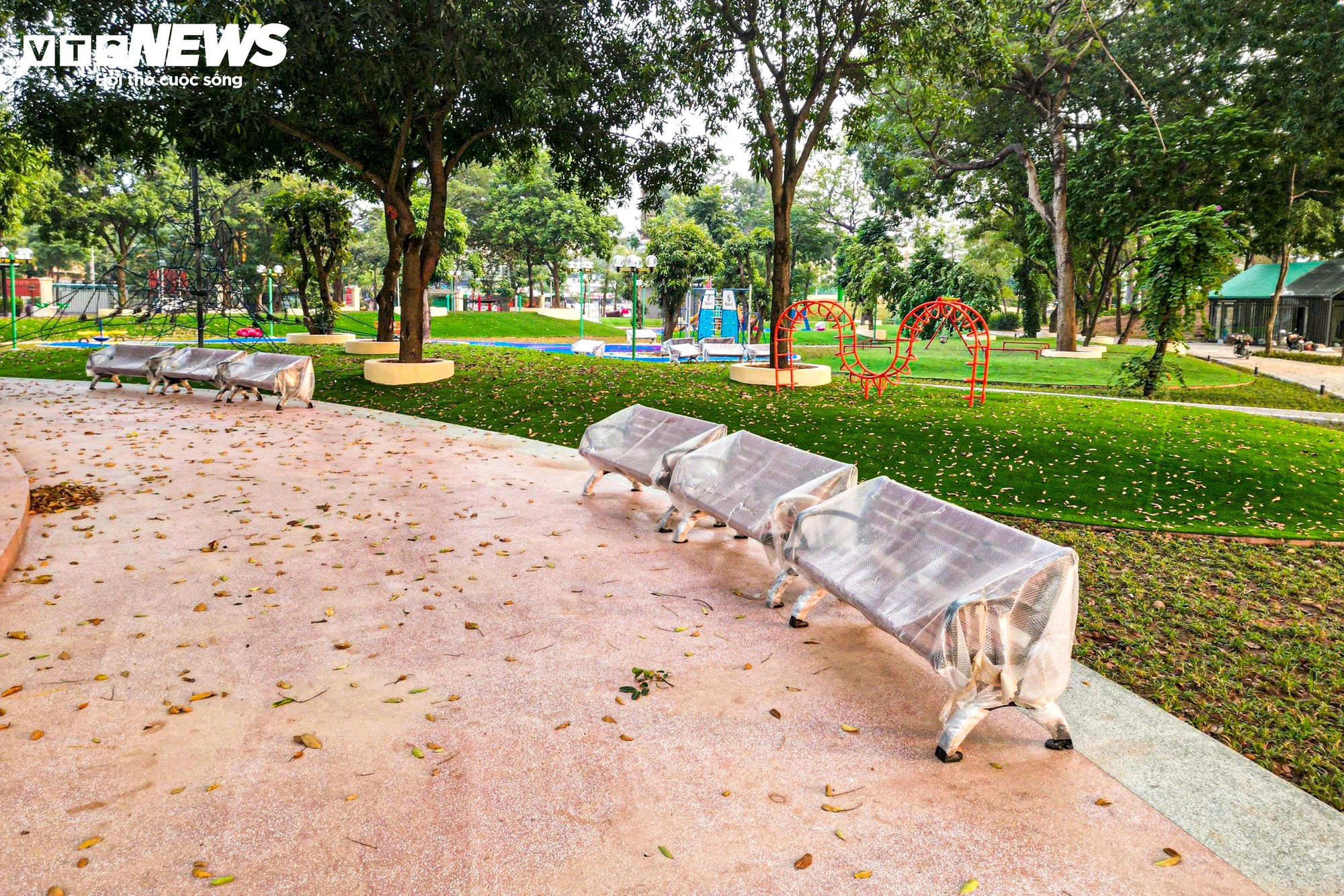 Chiêm ngưỡng cầu đi bộ hình cây đàn trong công viên trung tâm Hà Nội- Ảnh 11.