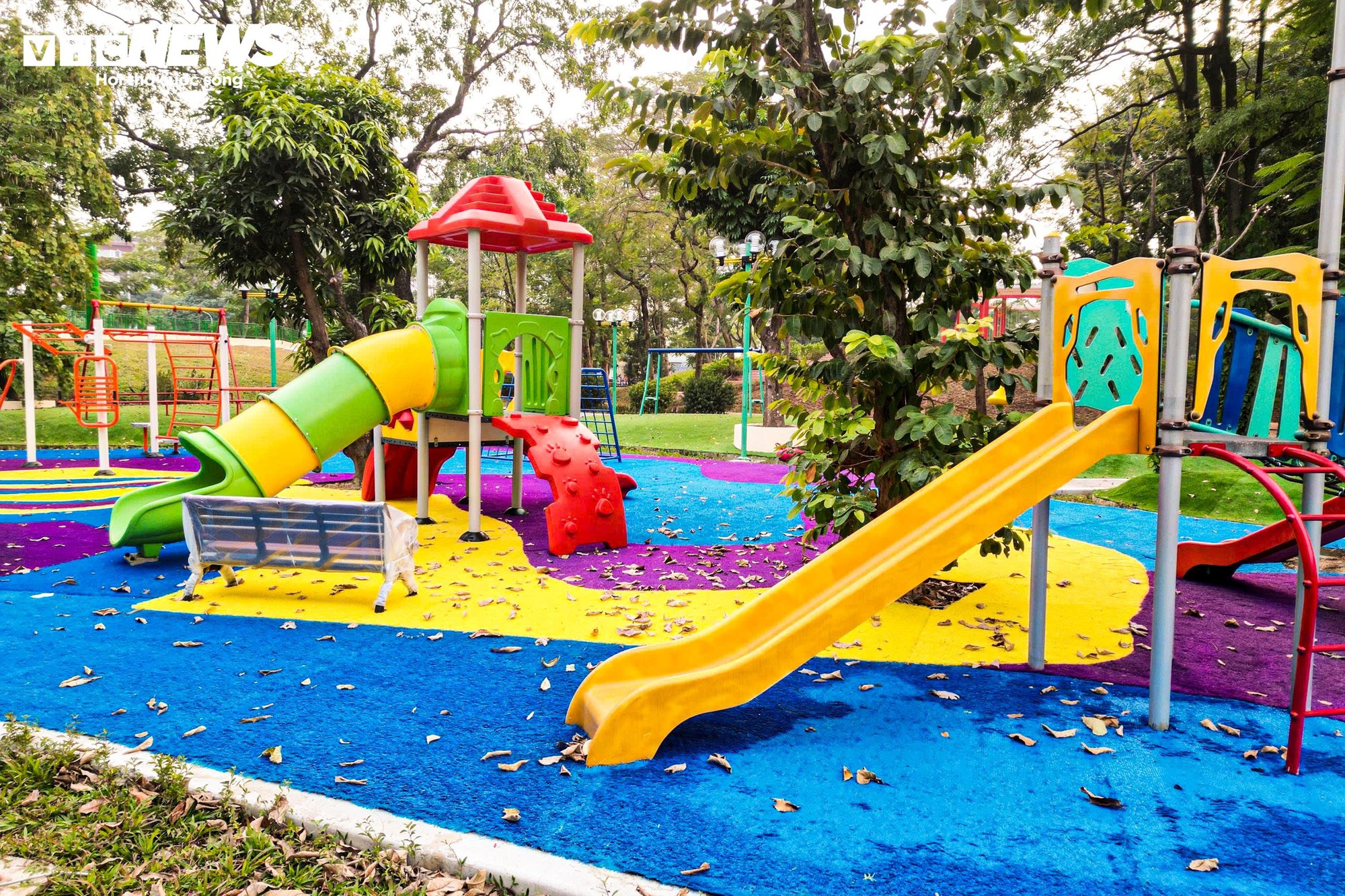 Chiêm ngưỡng cầu đi bộ hình cây đàn trong công viên trung tâm Hà Nội- Ảnh 13.