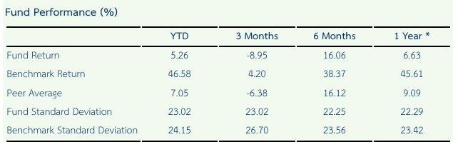 Đằng sau nỗi buồn thua cuộc tại SEA Games, gia tộc Tỷ phú Madam Pang vẫn âm thầm đầu tư chục nghìn tỷ đồng vào Việt Nam- Ảnh 2.