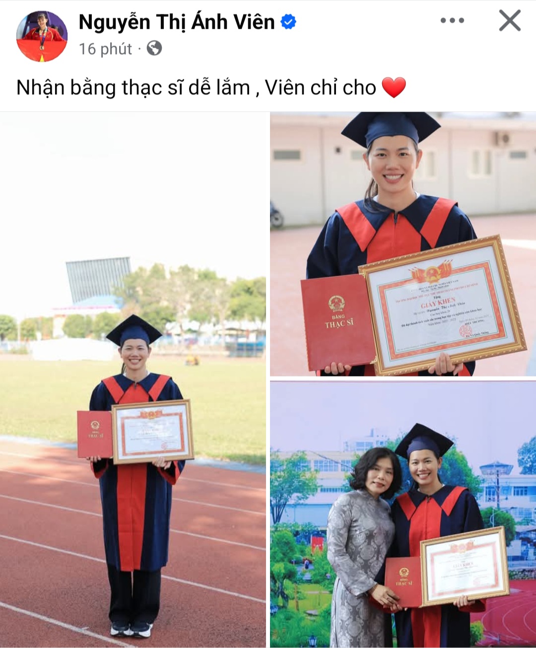 Đỉnh cao mới của tiên cá Ánh Viên- Ảnh 1.