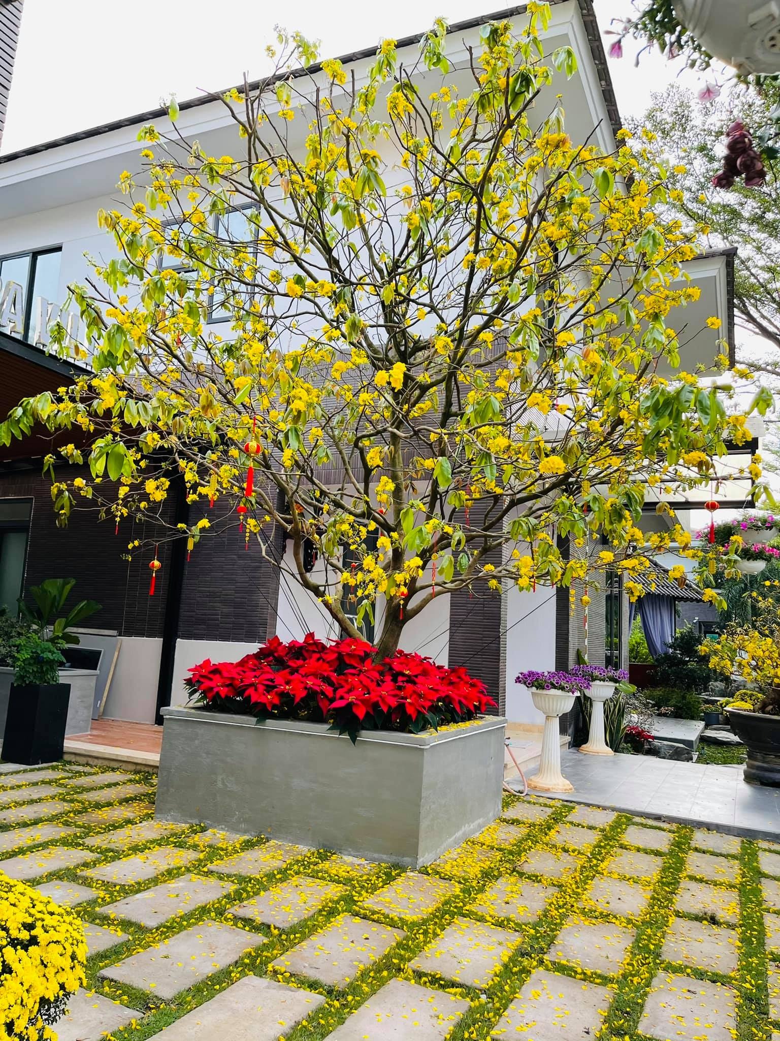 Nữ ca sĩ Việt 40 tuổi tự sinh con, không lấy chồng, ở biệt thự 20 tỷ- Ảnh 9.