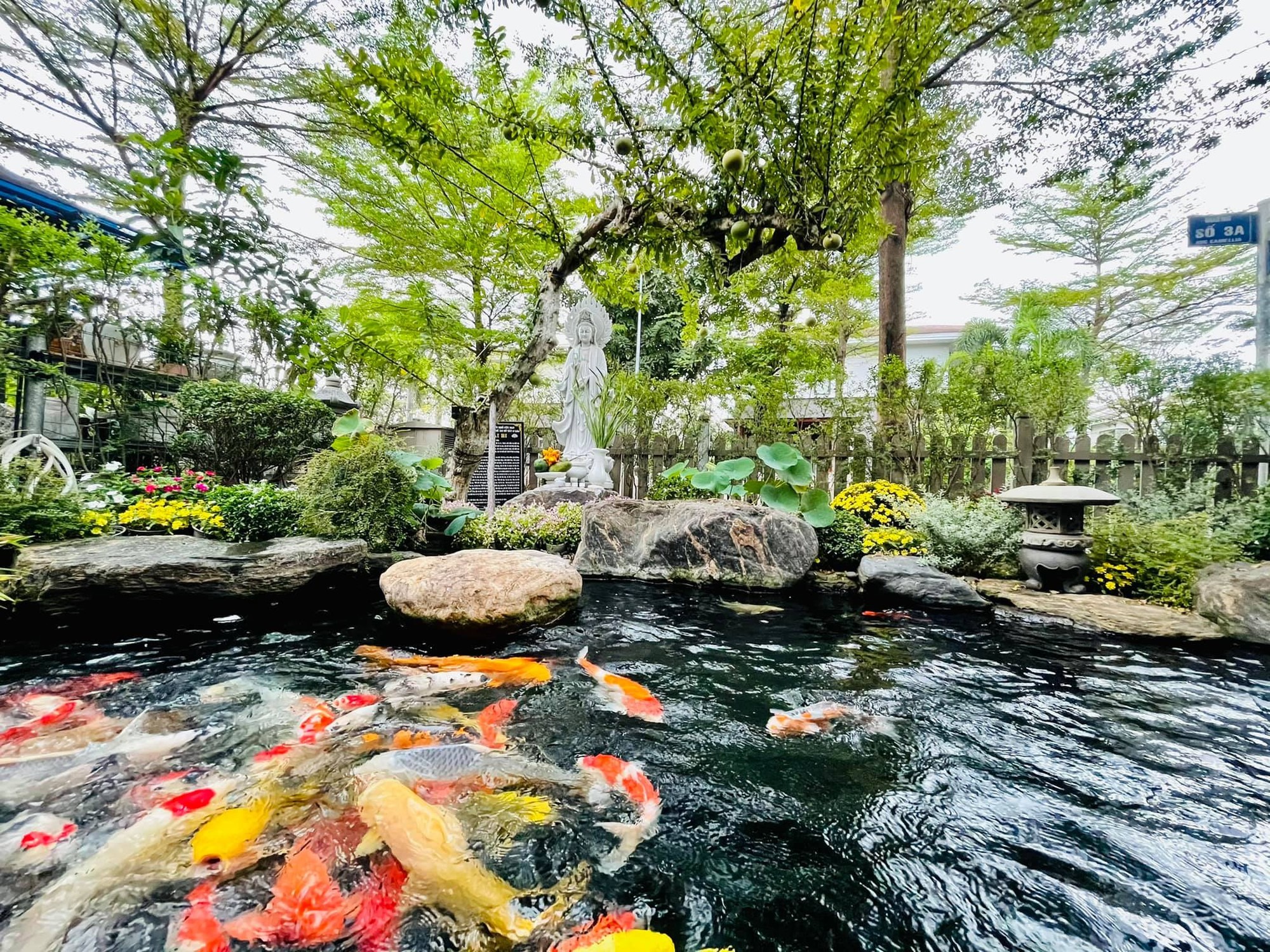 Nữ ca sĩ Việt 40 tuổi tự sinh con, không lấy chồng, ở biệt thự 20 tỷ- Ảnh 5.