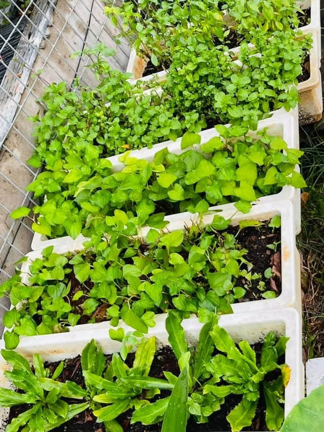 Nữ ca sĩ Việt 40 tuổi tự sinh con, không lấy chồng, ở biệt thự 20 tỷ- Ảnh 20.