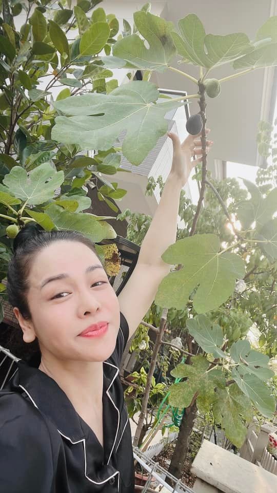 Nữ ca sĩ Việt 40 tuổi tự sinh con, không lấy chồng, ở biệt thự 20 tỷ- Ảnh 21.