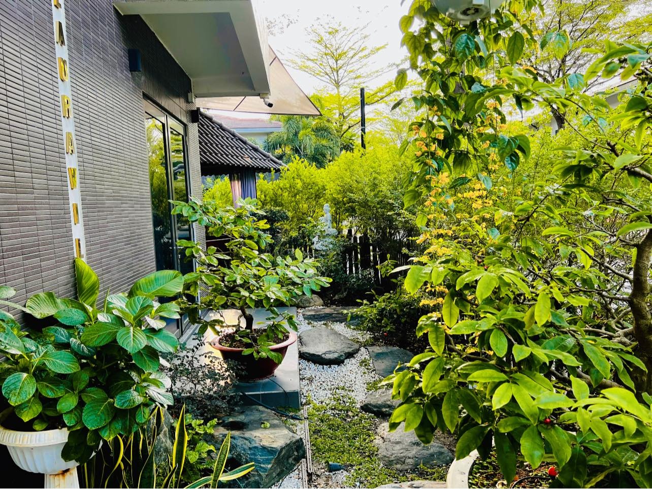 Nữ ca sĩ Việt 40 tuổi tự sinh con, không lấy chồng, ở biệt thự 20 tỷ- Ảnh 12.