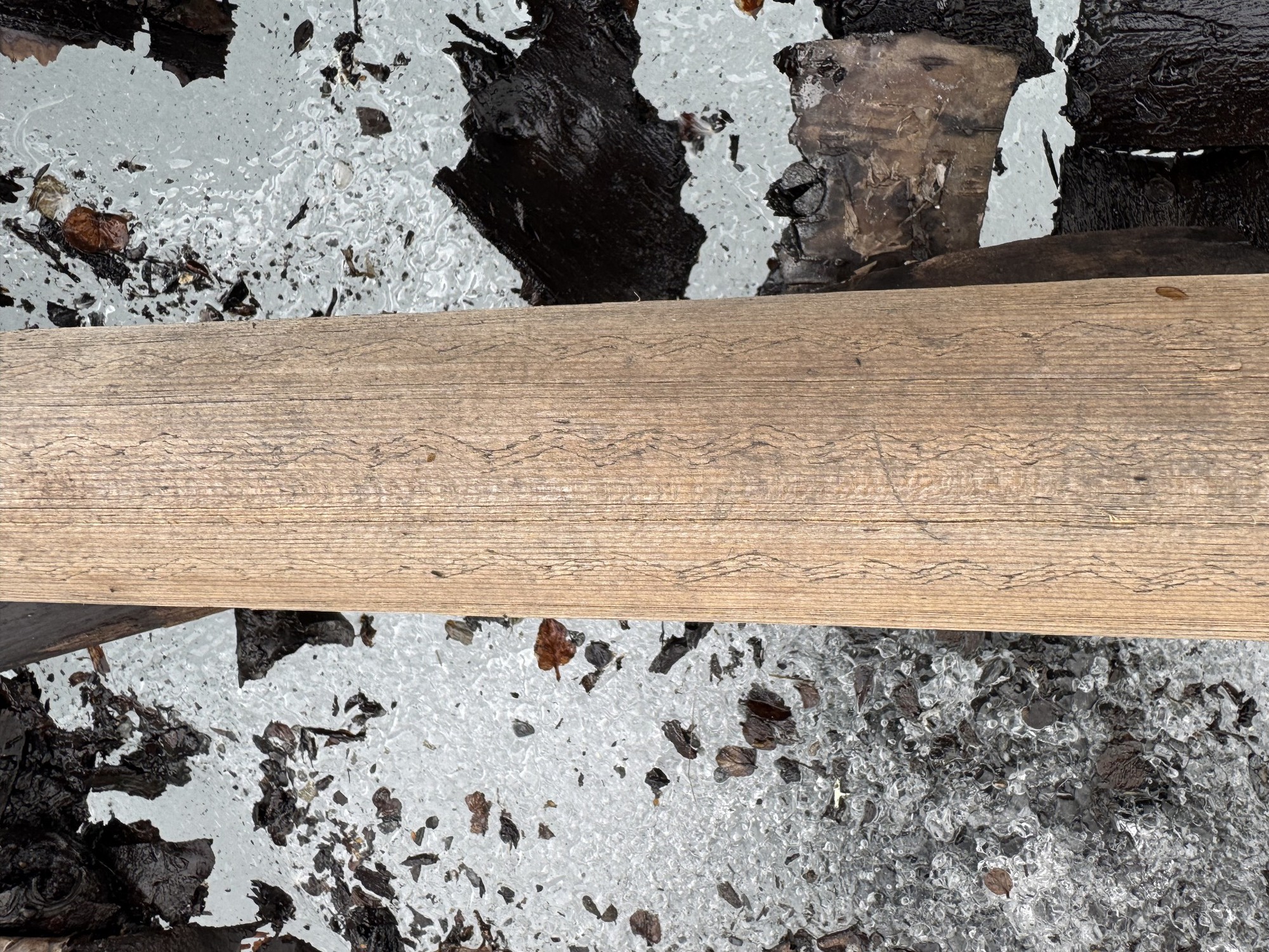 Băng trên đỉnh núi tan chảy, để lộ ra những thứ con người không dám tin vào mắt mình- Ảnh 1.