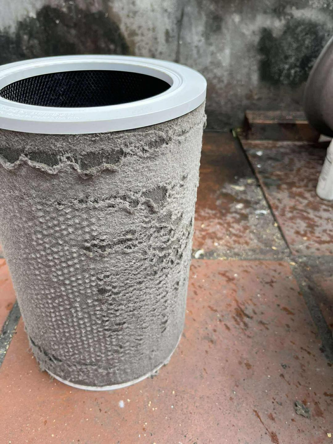 Cận cảnh bộ lọc không khí của một gia đình ở Long Biên: Không ngờ lại đến mức này!- Ảnh 2.