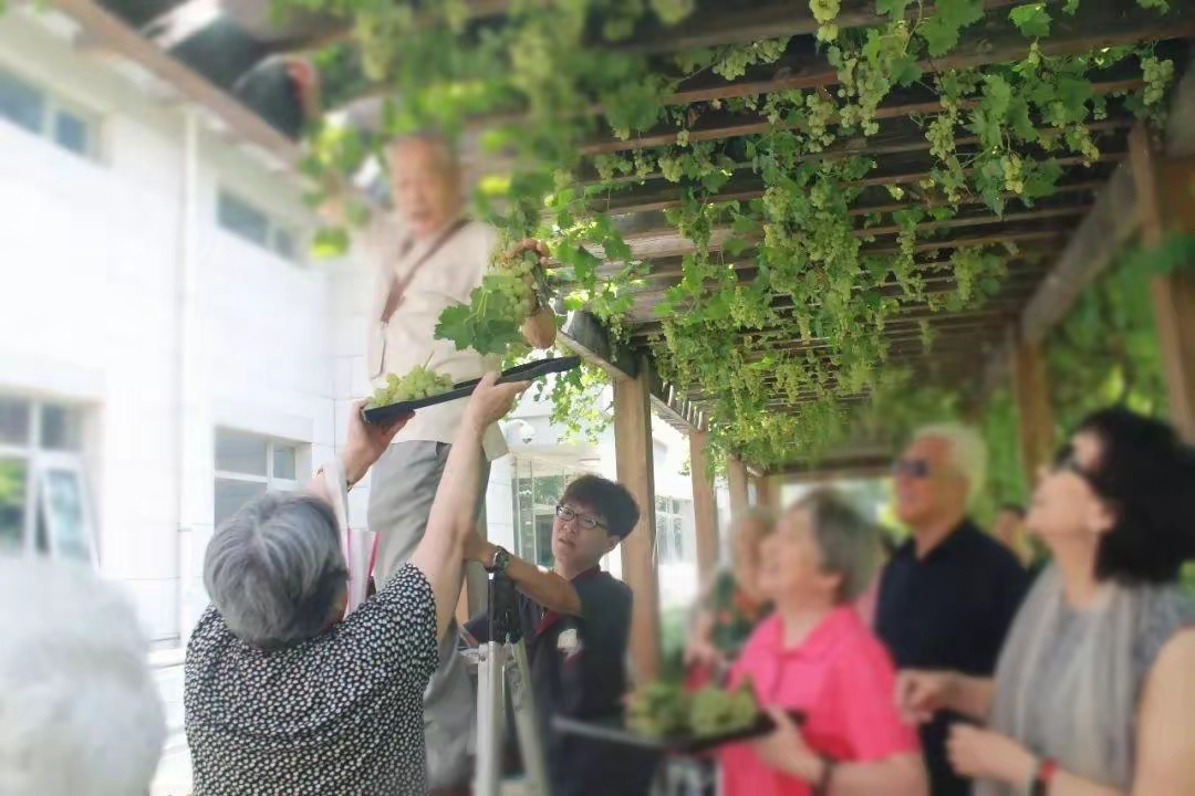 Người đàn ông mở viện dưỡng lão mini ngay tại chung cư, thu nhập hơn 130 triệu/tháng vẫn than thở: "Không lỗ là may"- Ảnh 1. Người đàn ông mở viện dưỡng lão mini ngay tại chung cư, thu nhập hơn 130 triệu/tháng vẫn than thở: "Không lỗ là may"- Ảnh 1.