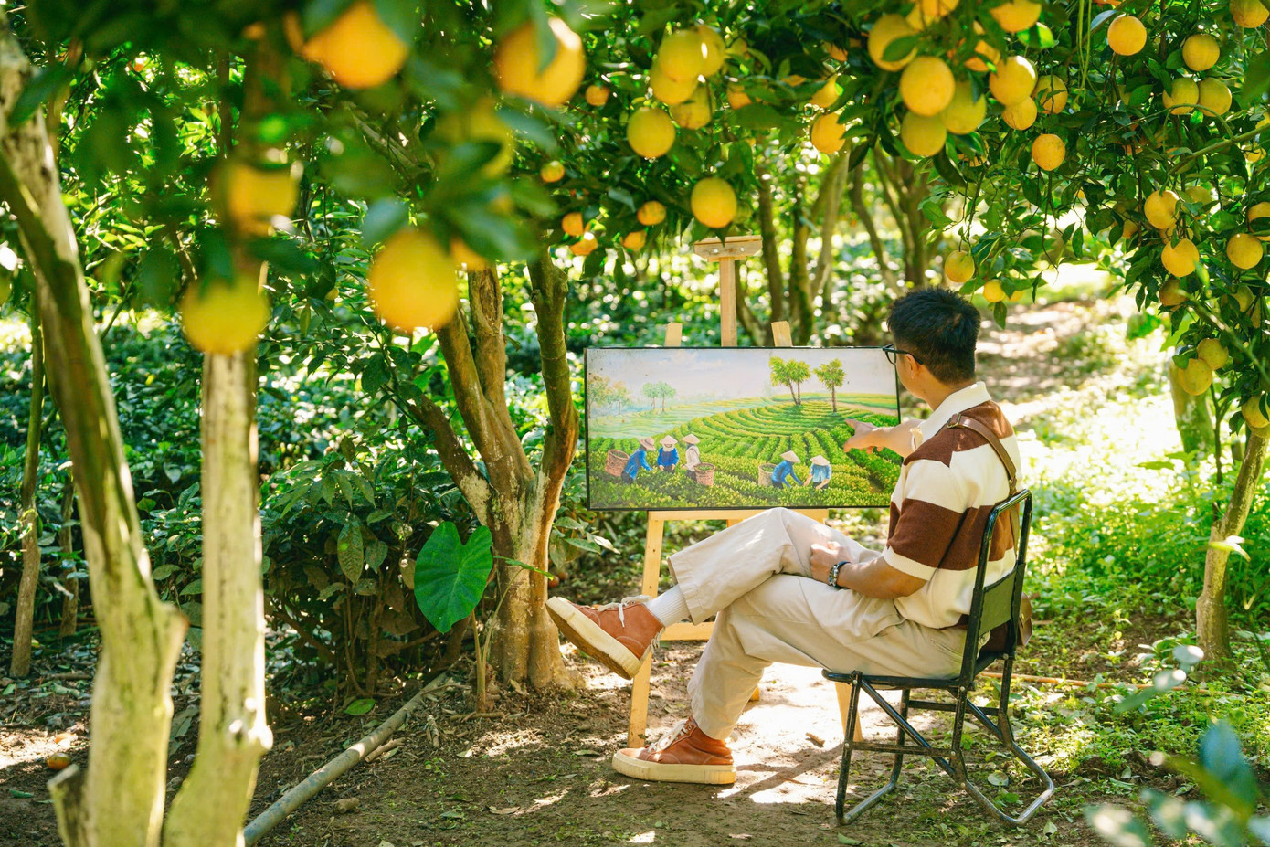 Vườn cam như trong phim hút khách du lịch Mộc Châu- Ảnh 11.